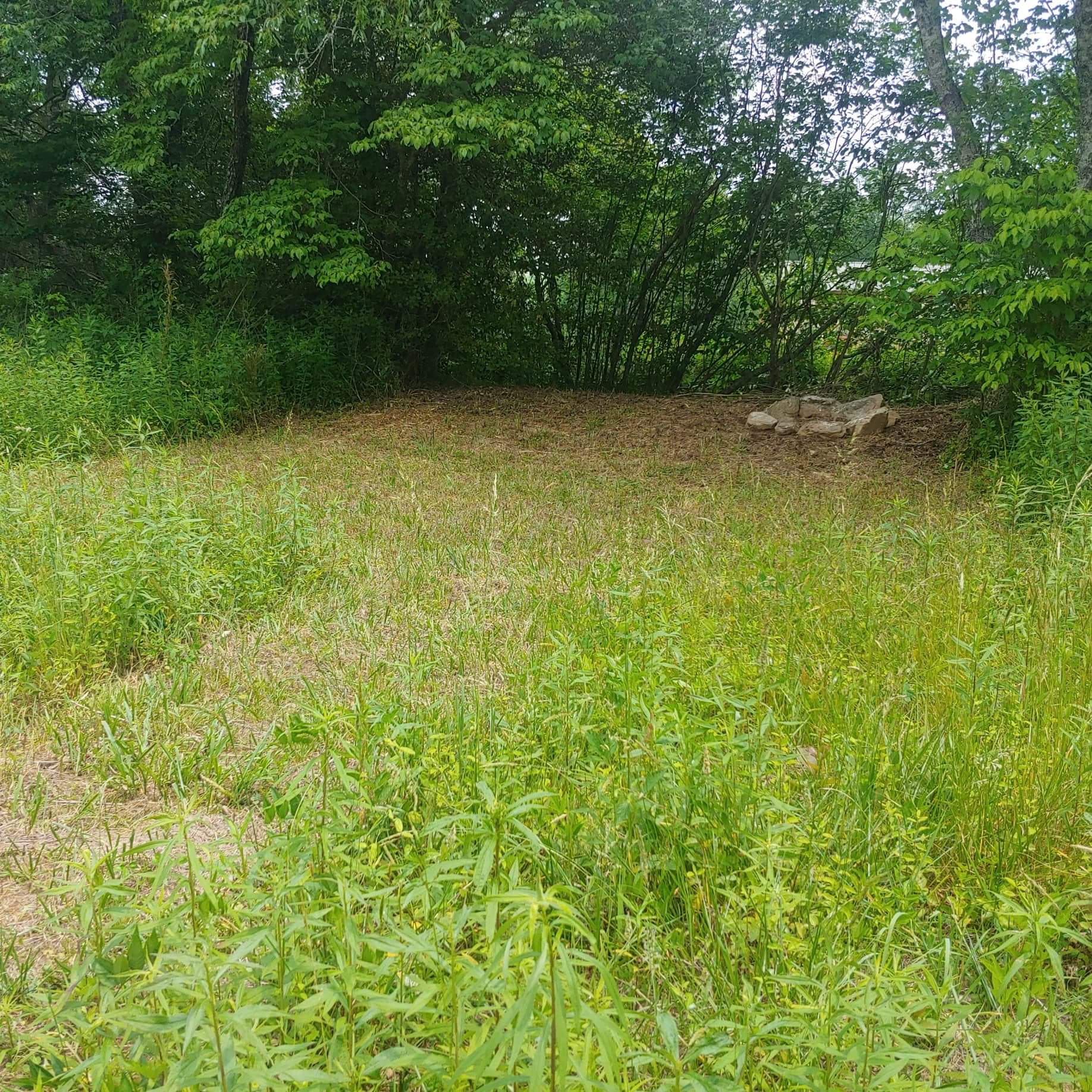 Site 2 - little farther from parking (If it is dry, you can drive to your site!).  Just a short grassy walk.  All 4 sites are level.