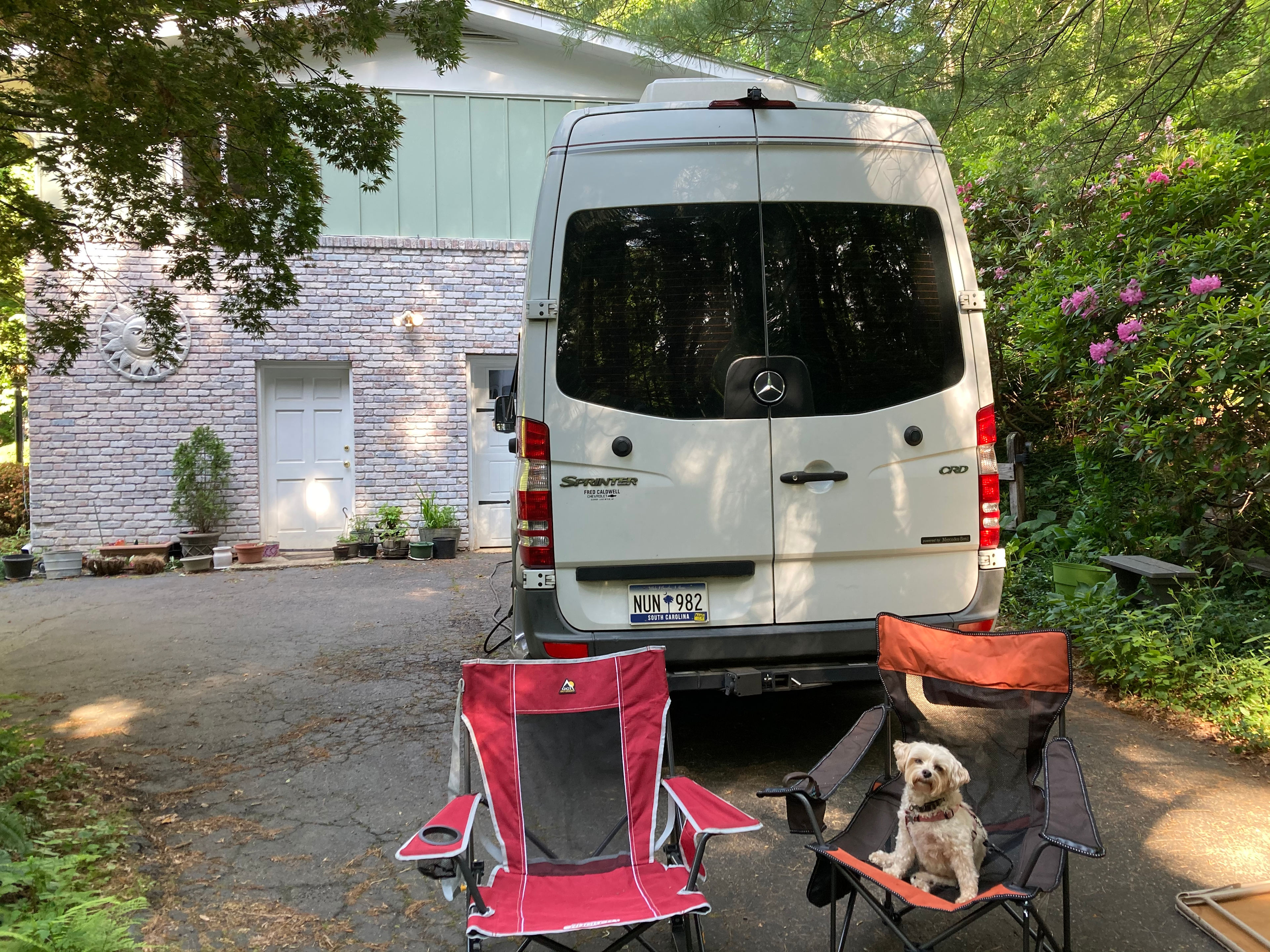 Teddy loves sitting in chairs