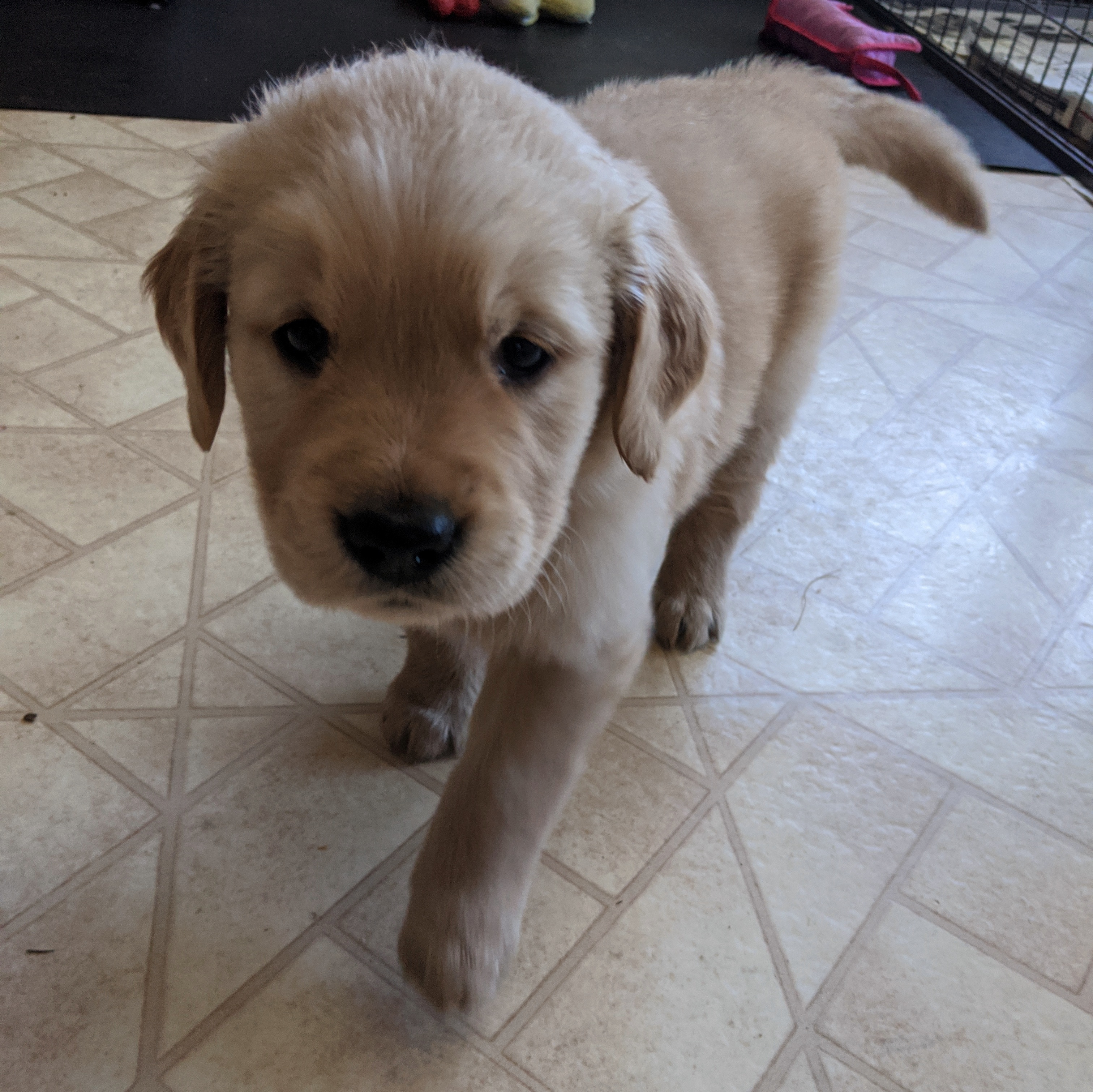 Nope. Not cute at all. :P