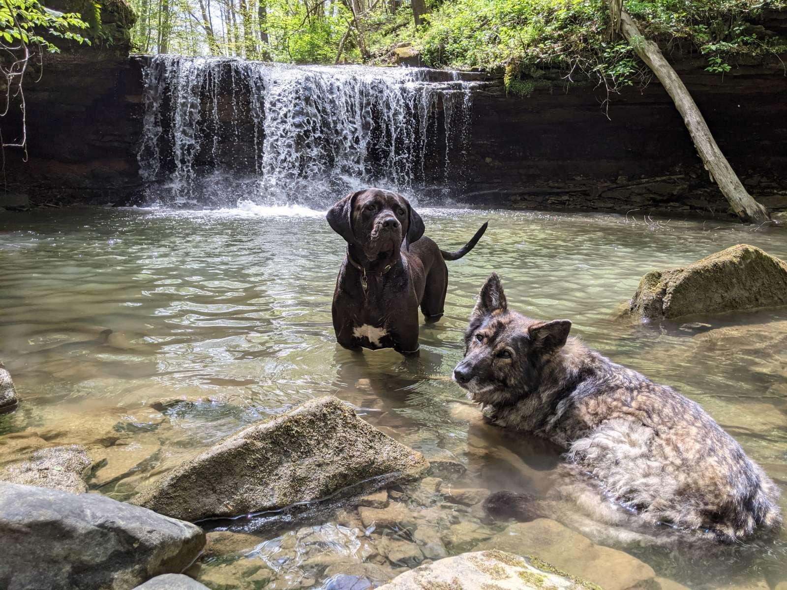 River Hills Above the Allegheny