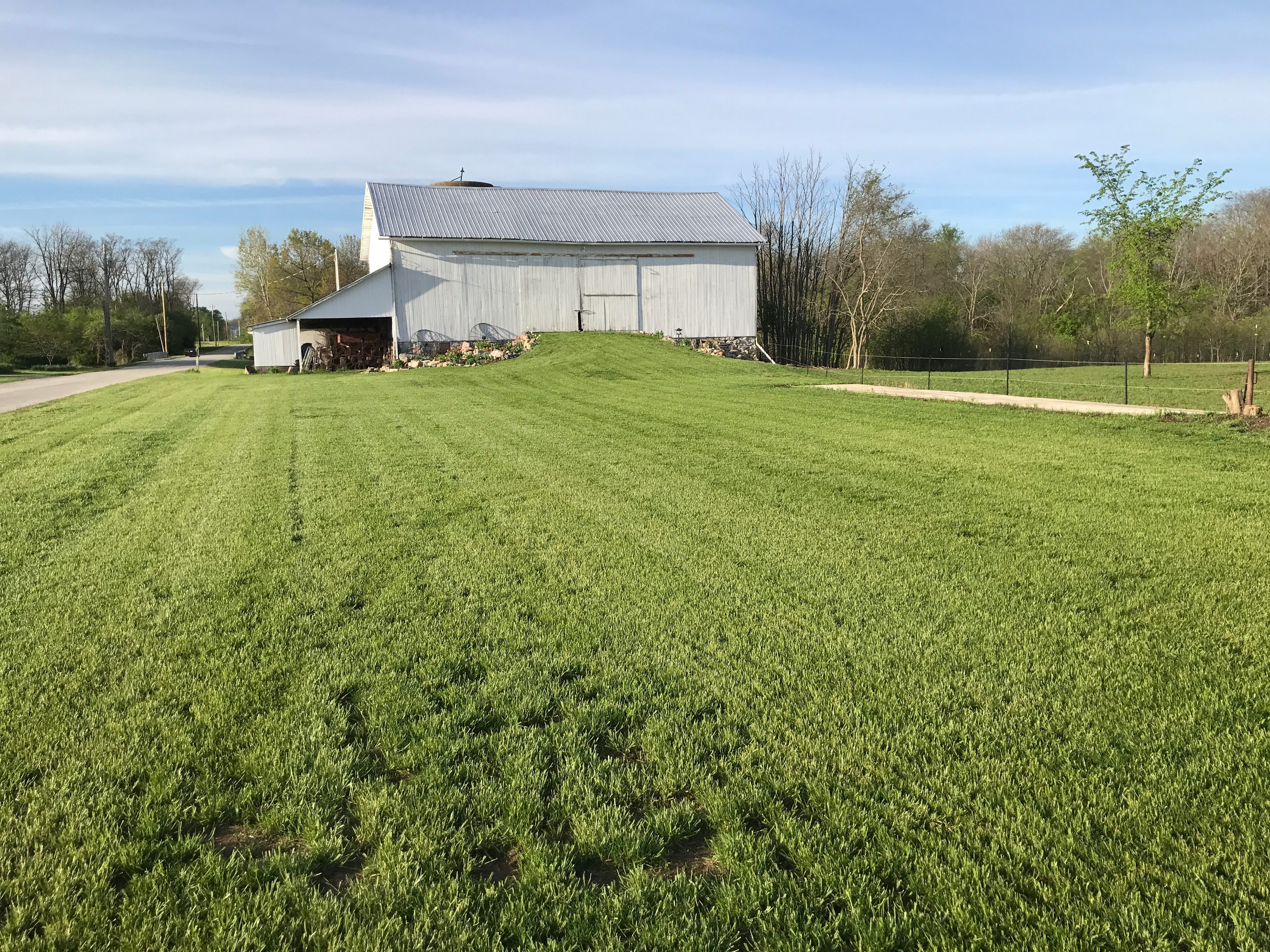 Site # 11 in front of the barn.