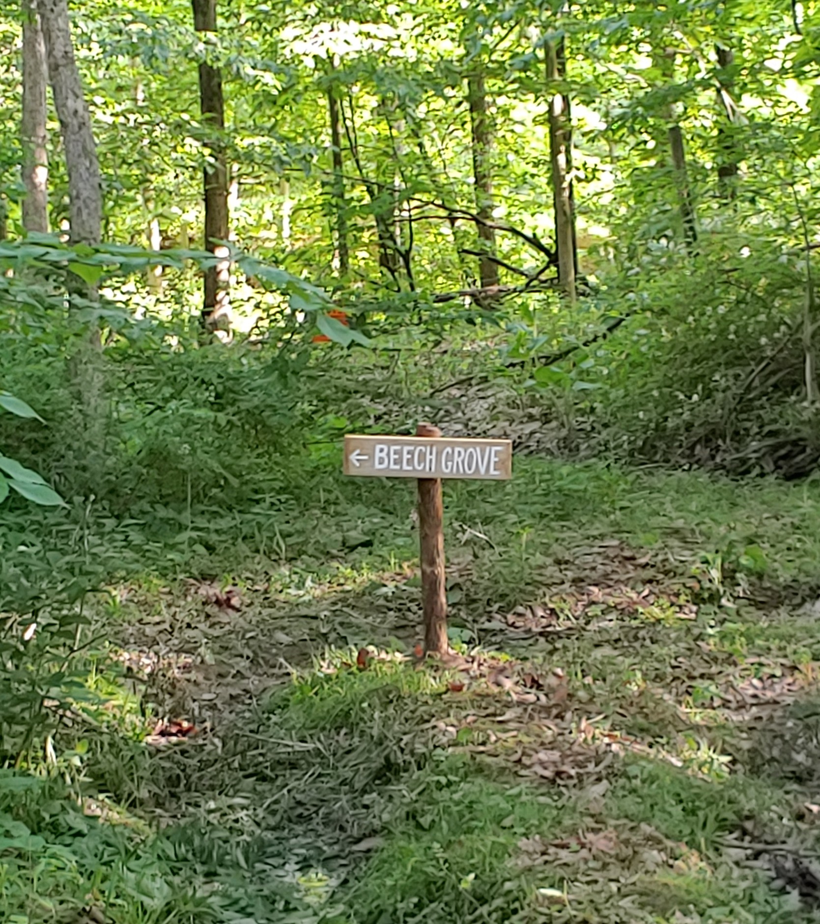 Backwoods Camping