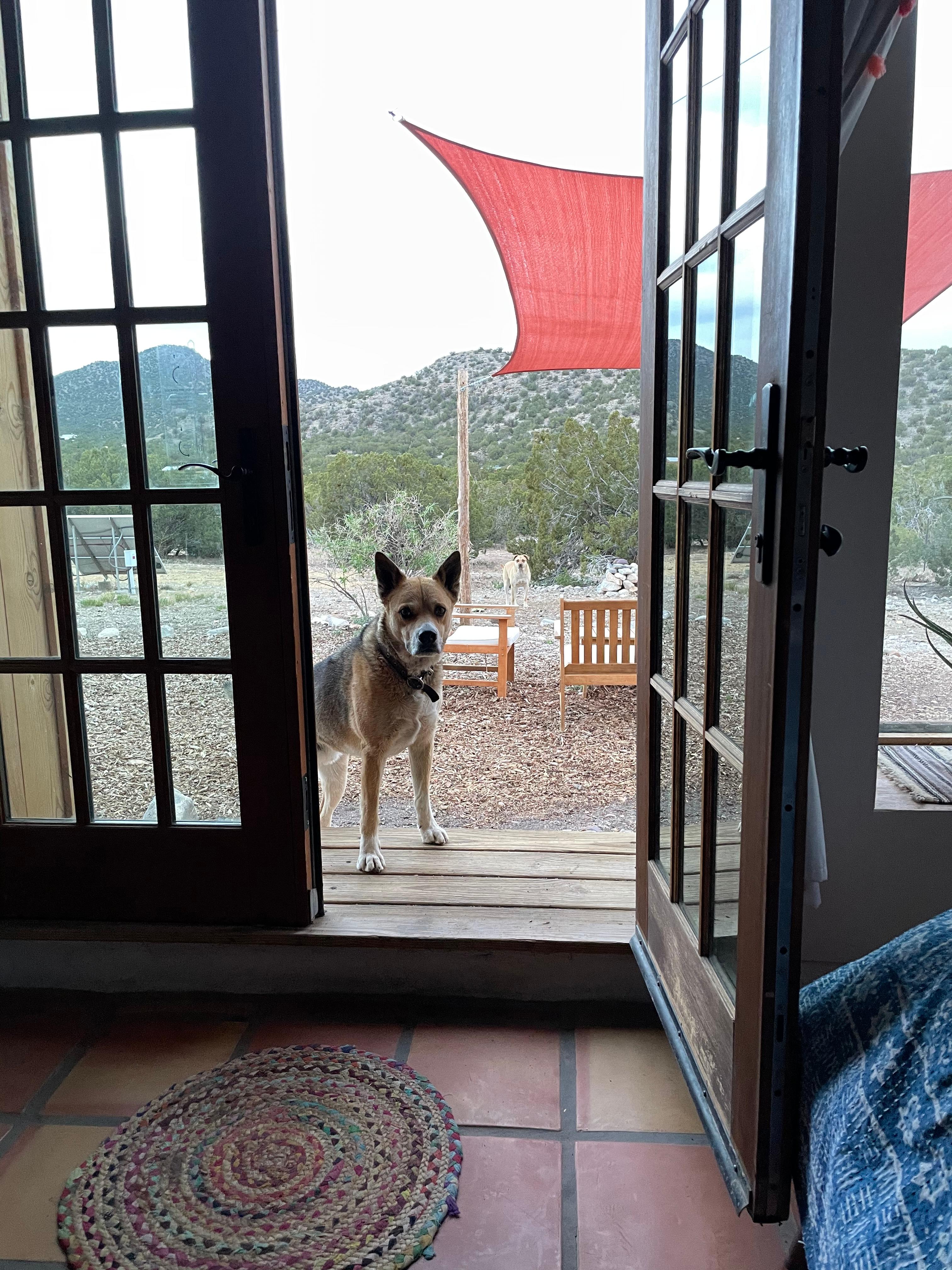 Little Dancing Horse Ranch