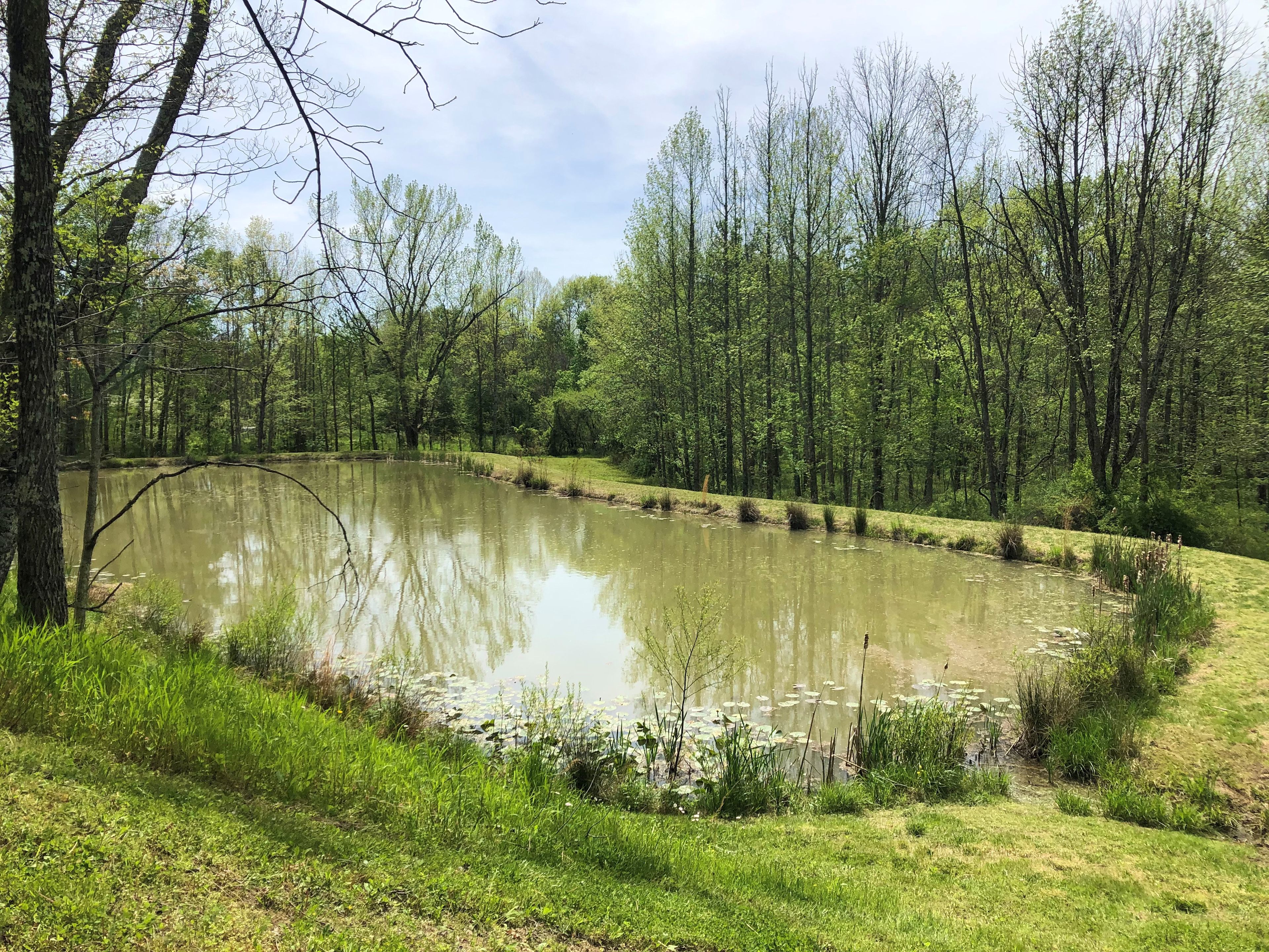 Variety- pond, field, shaded
