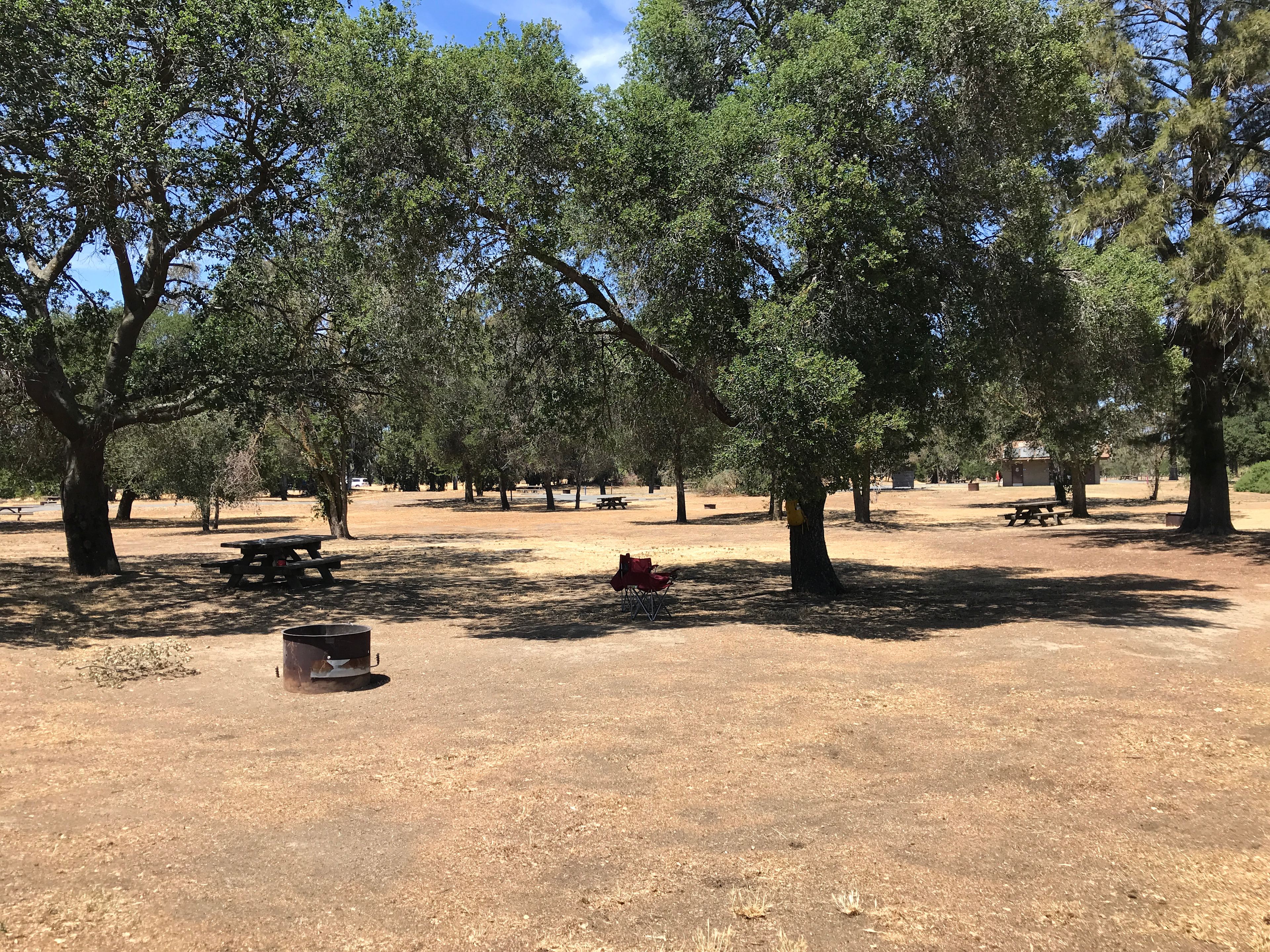 Earwigs literally everywhere during the night. Keep shoes in tent and shake equipment good before storing away. 