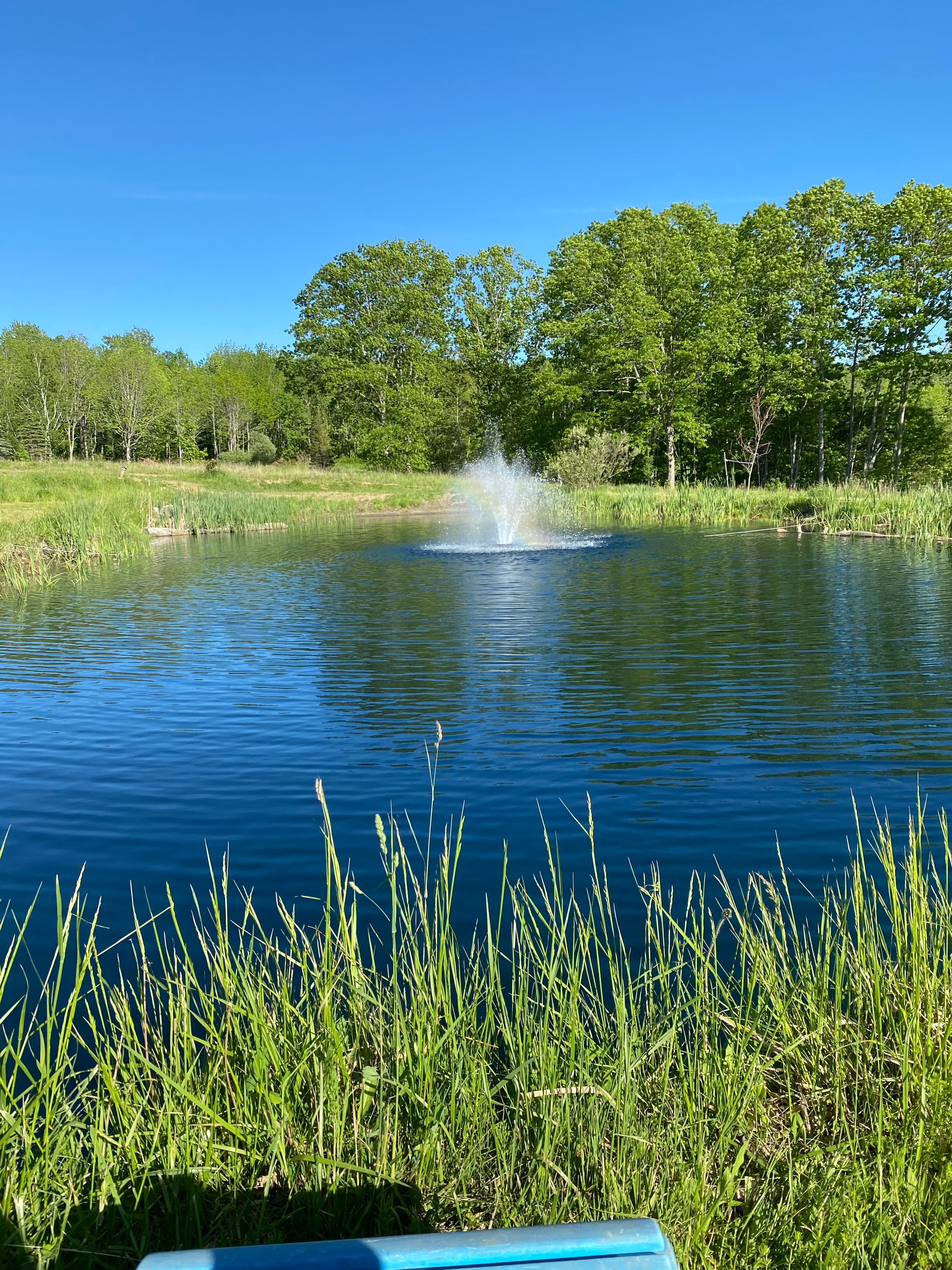 Winterport Acres