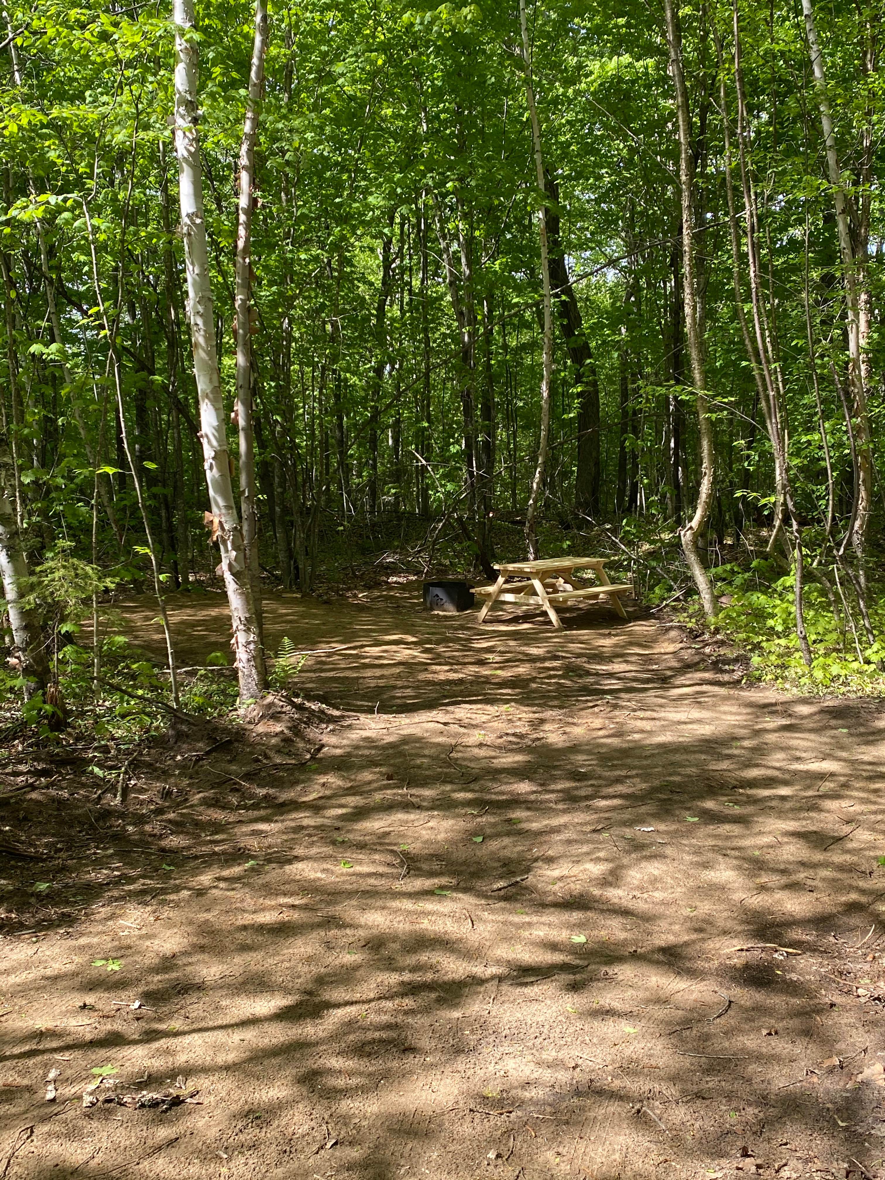 Tent Camping with Nature
