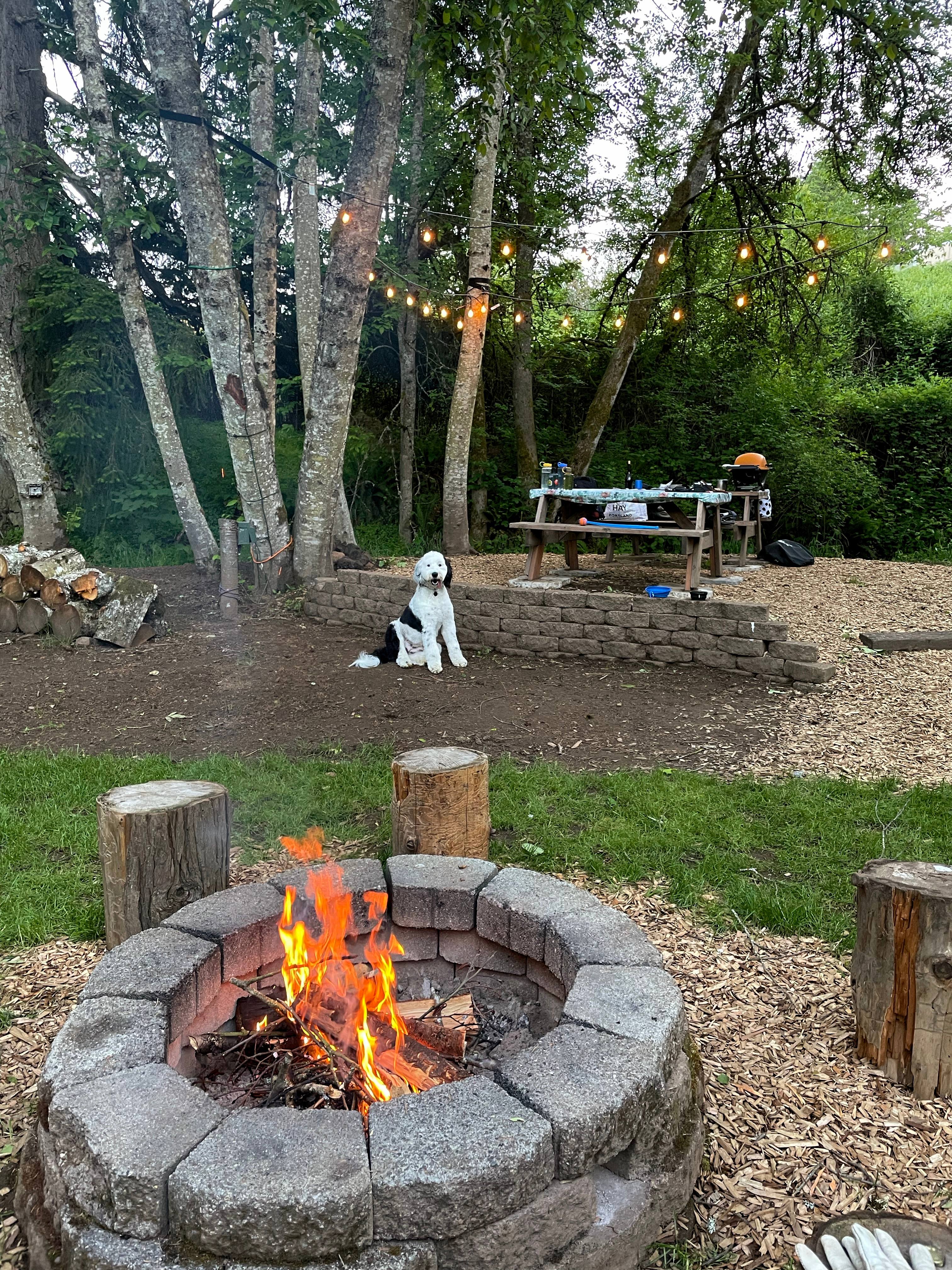 “Park like setting”