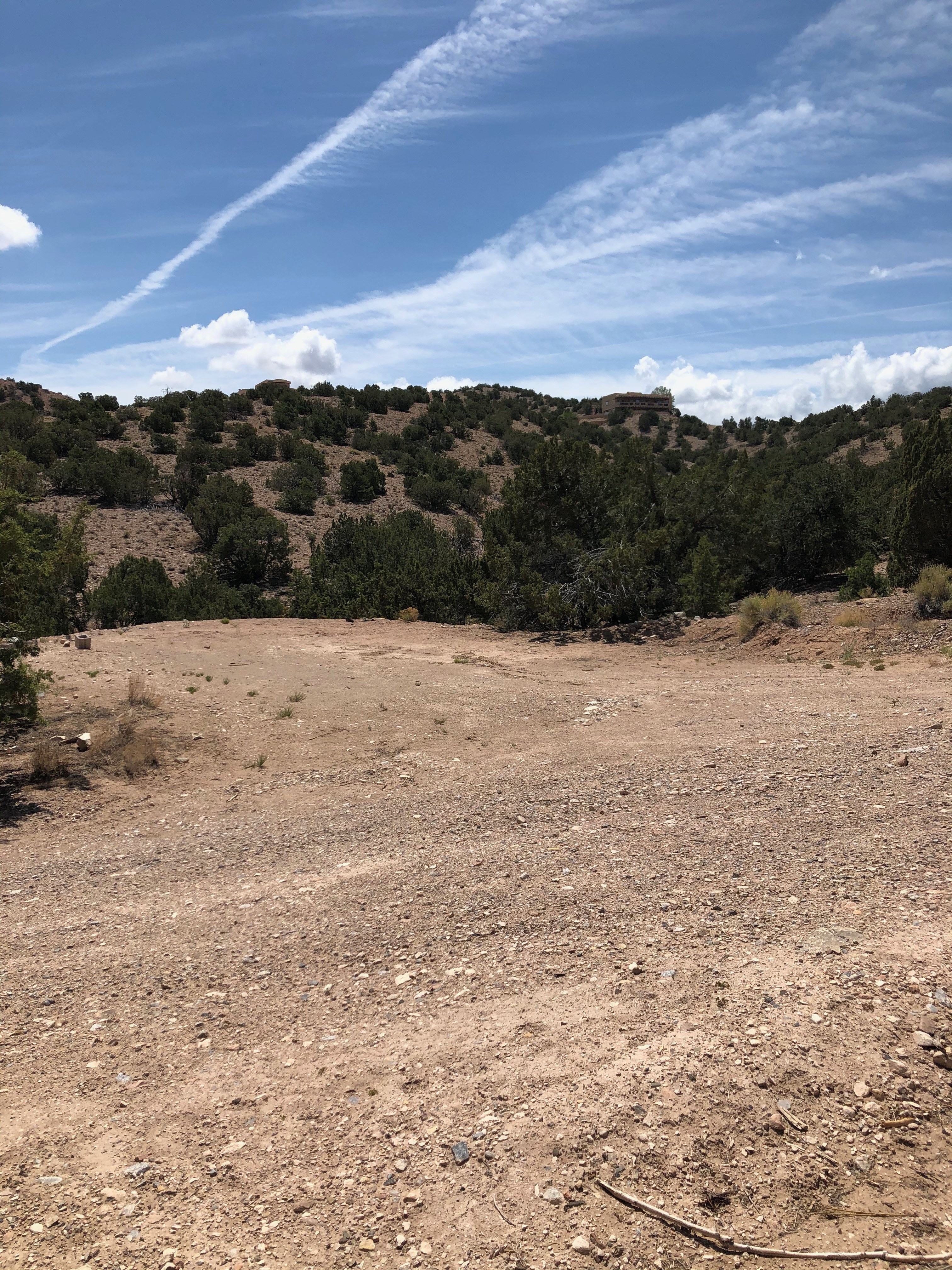 Tierra del RavenTree