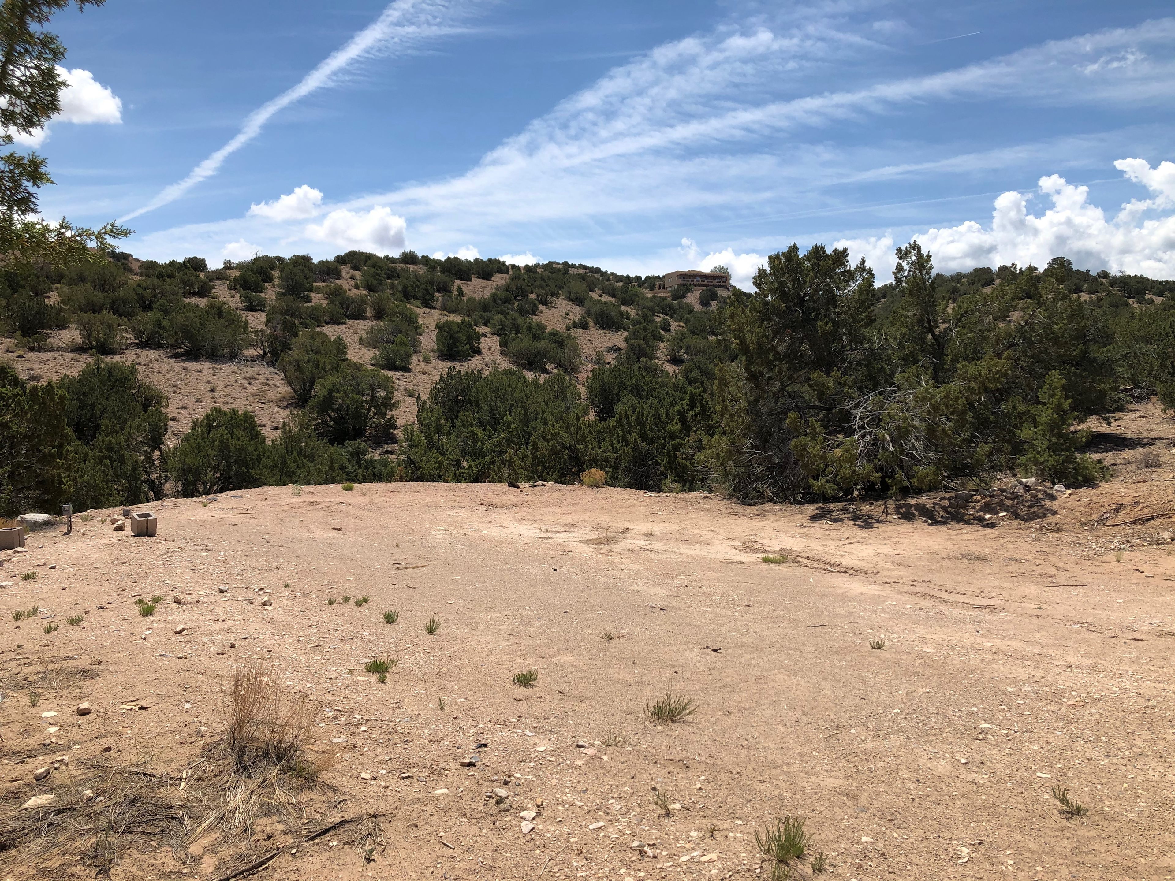 Tierra del RavenTree