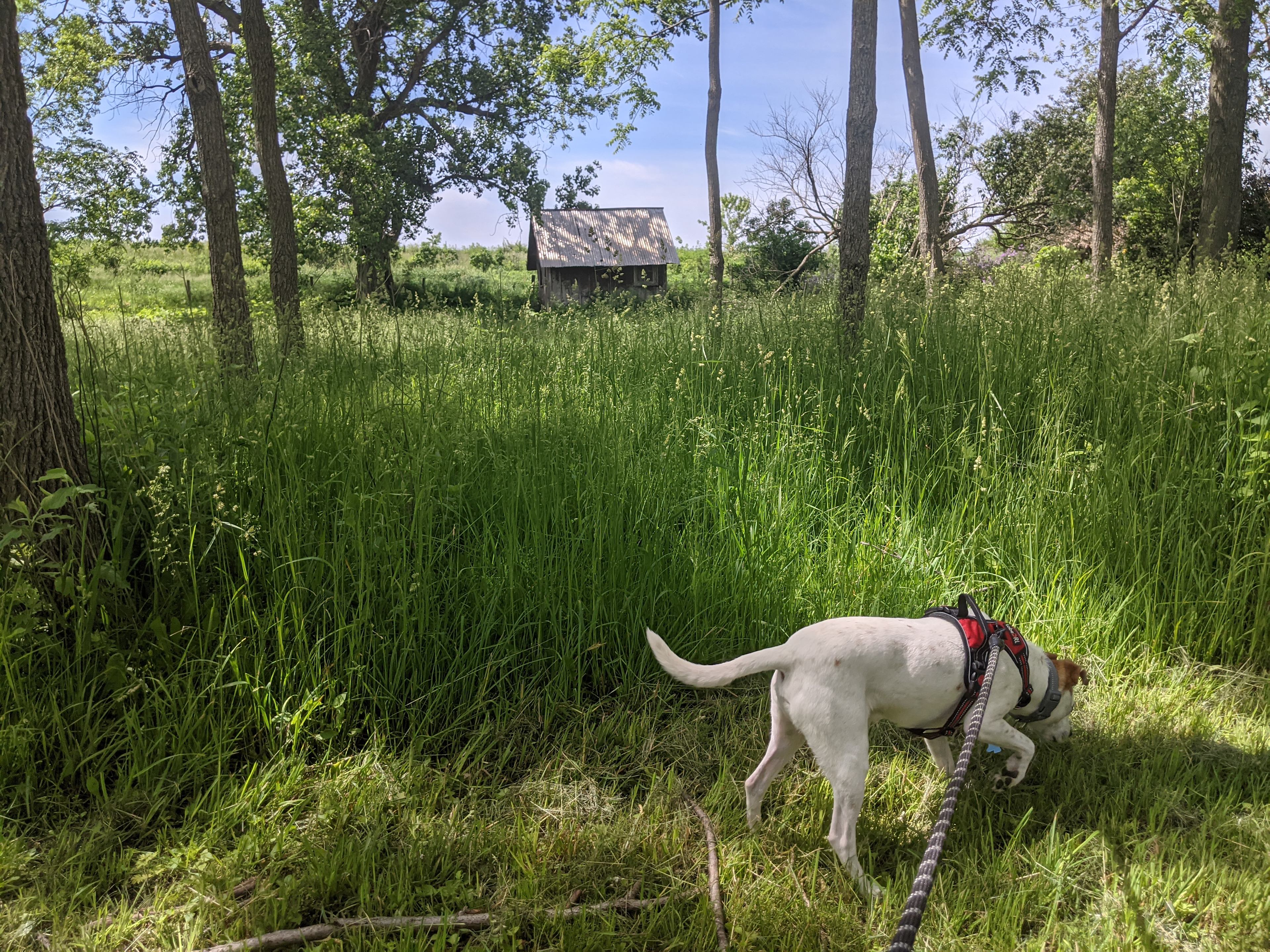Folk School Farm Stay