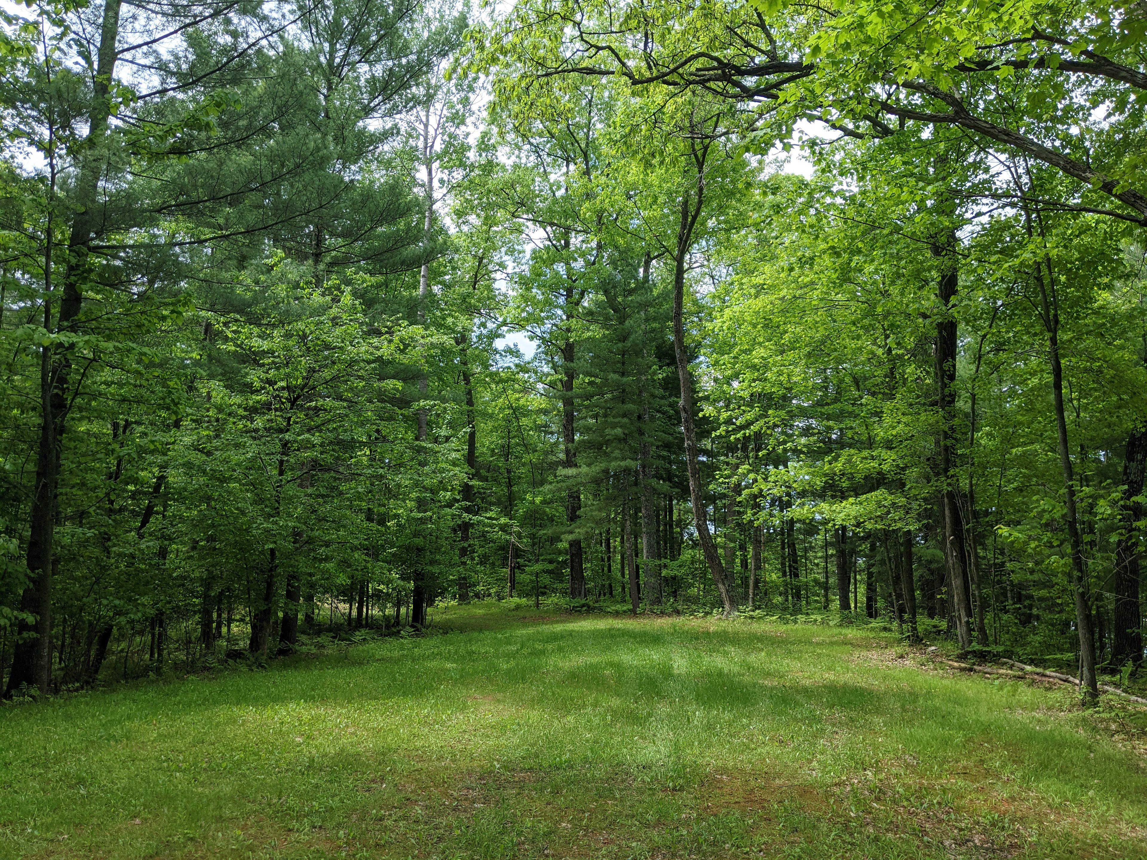 View of entrance of campsite. Large grassy area that should fit most campers!  Contact us with any questions on size of grassy area and entrance.