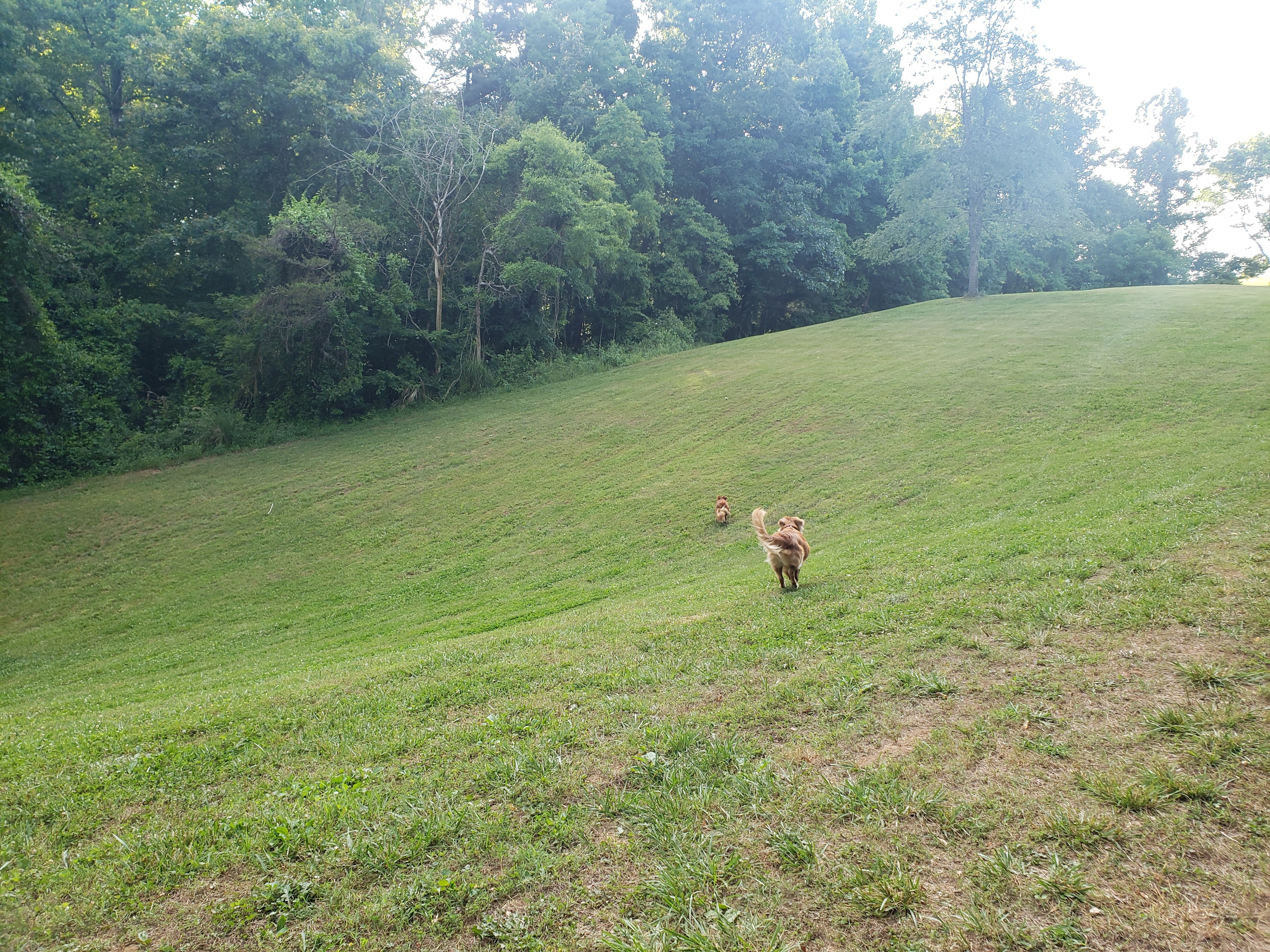 Mountain View Acres