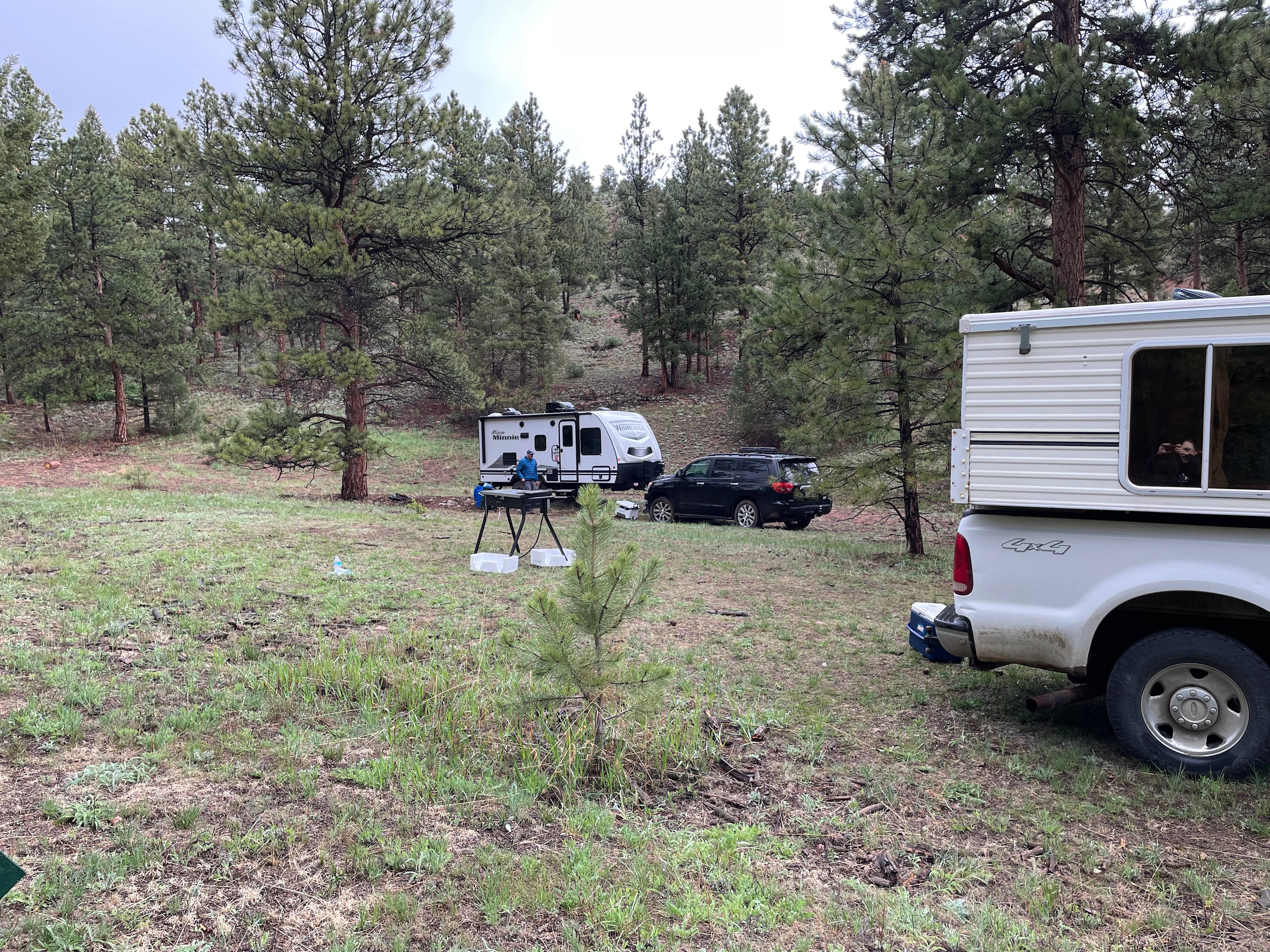 Serenity in the Foothills