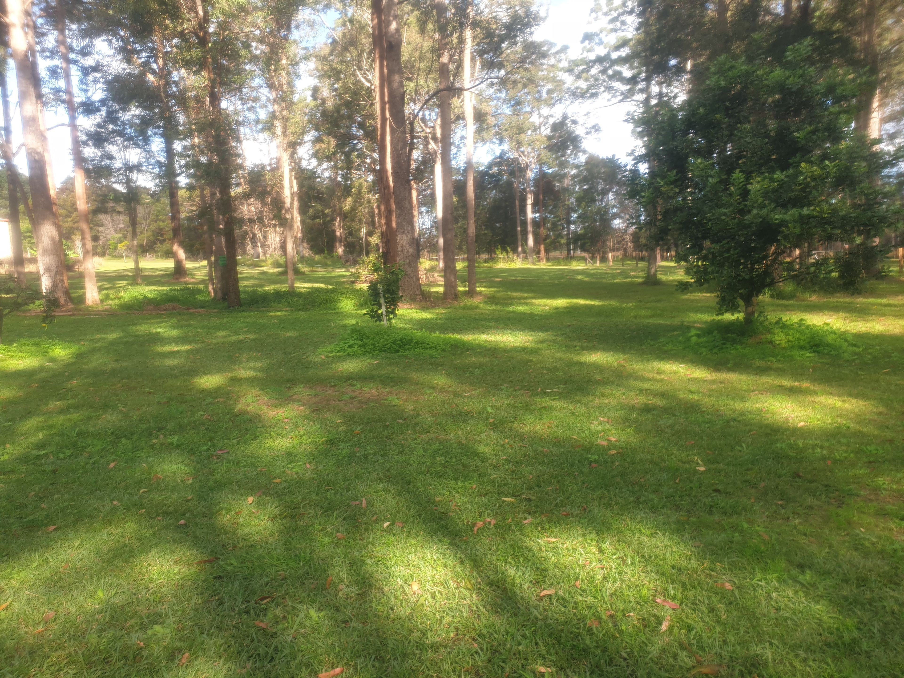 Paradise in Verges Creek