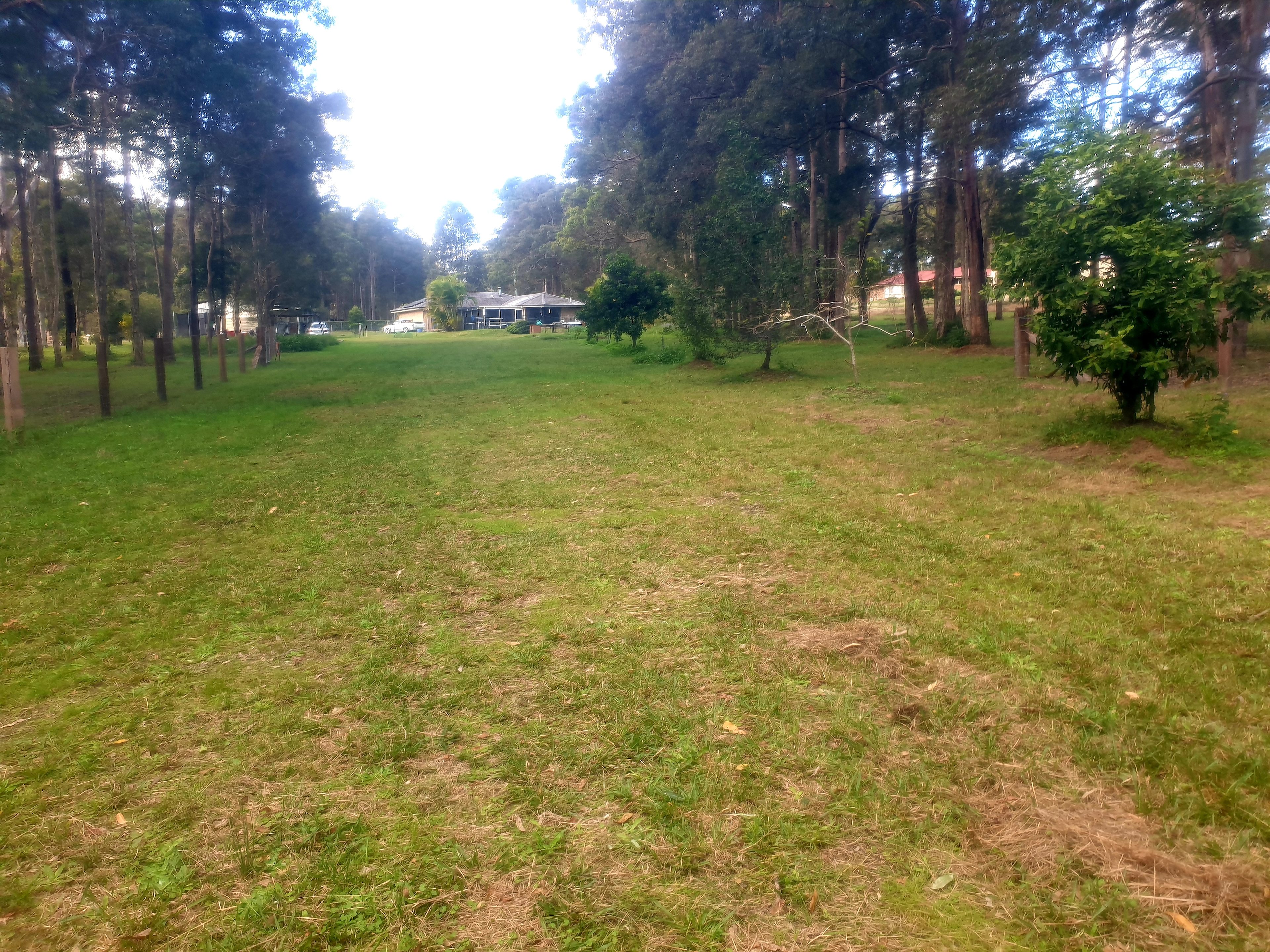 Paradise in Verges Creek