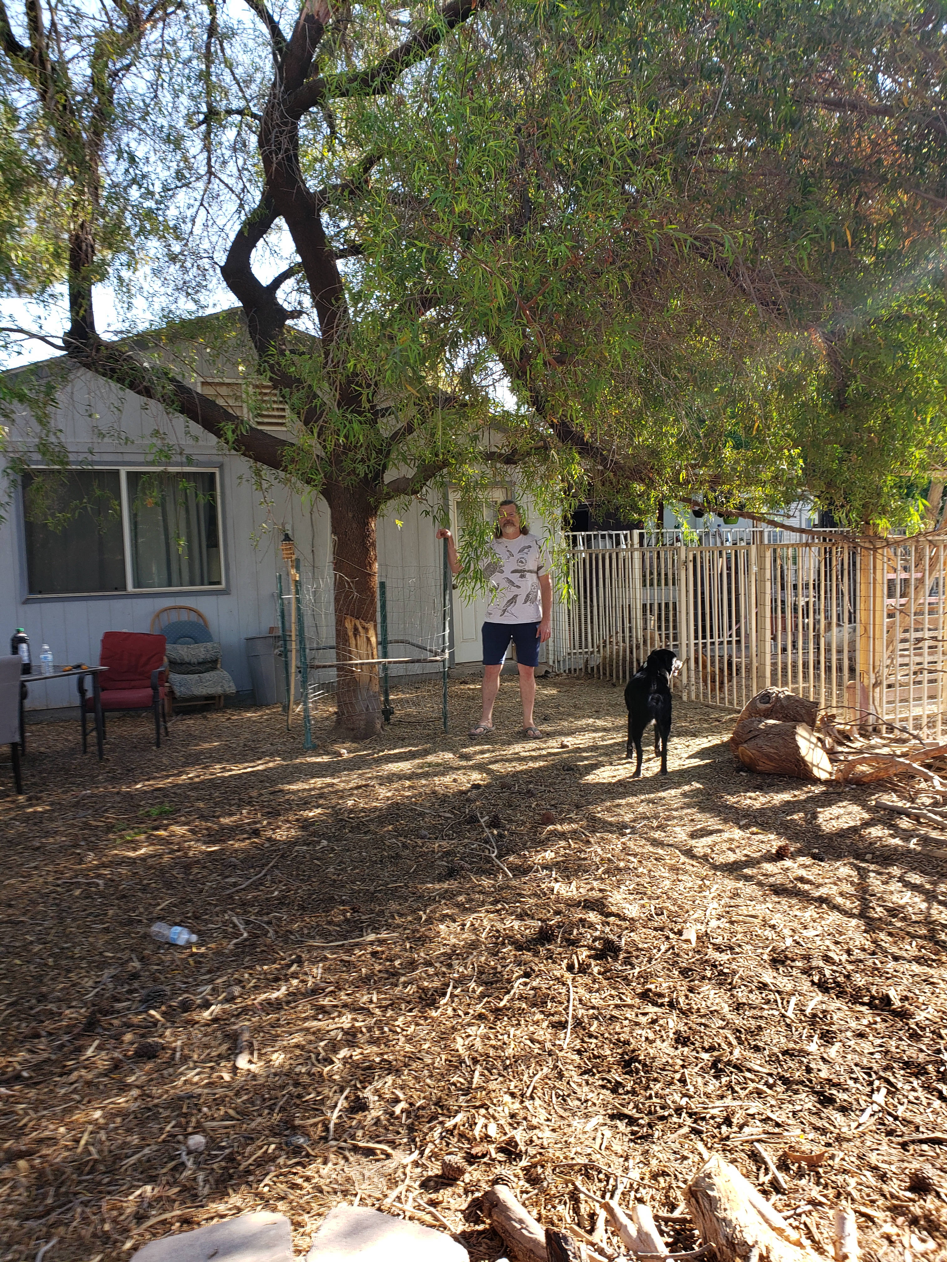 Granny Buds' Farm Animal Rescue