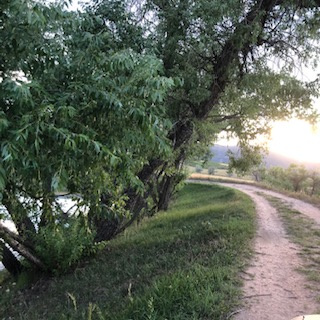 Colorado Meadows & Fishing Pond
