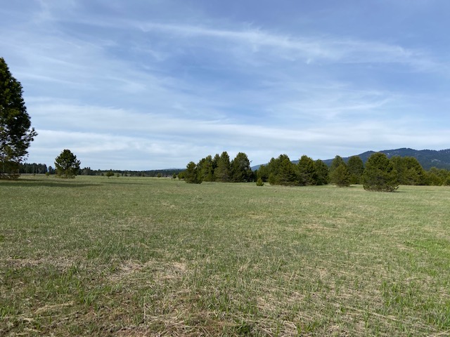 23 Acres of Peace. Cascade, Idaho