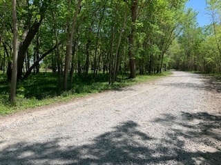 Private road to camp, Camino Del Rio
