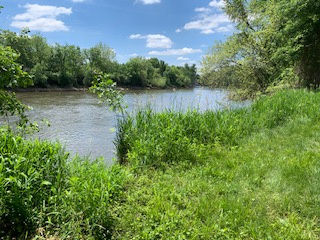 Closest river access to camp site.  Accessed by trail through woods. Also place to put in or take out Kayak.