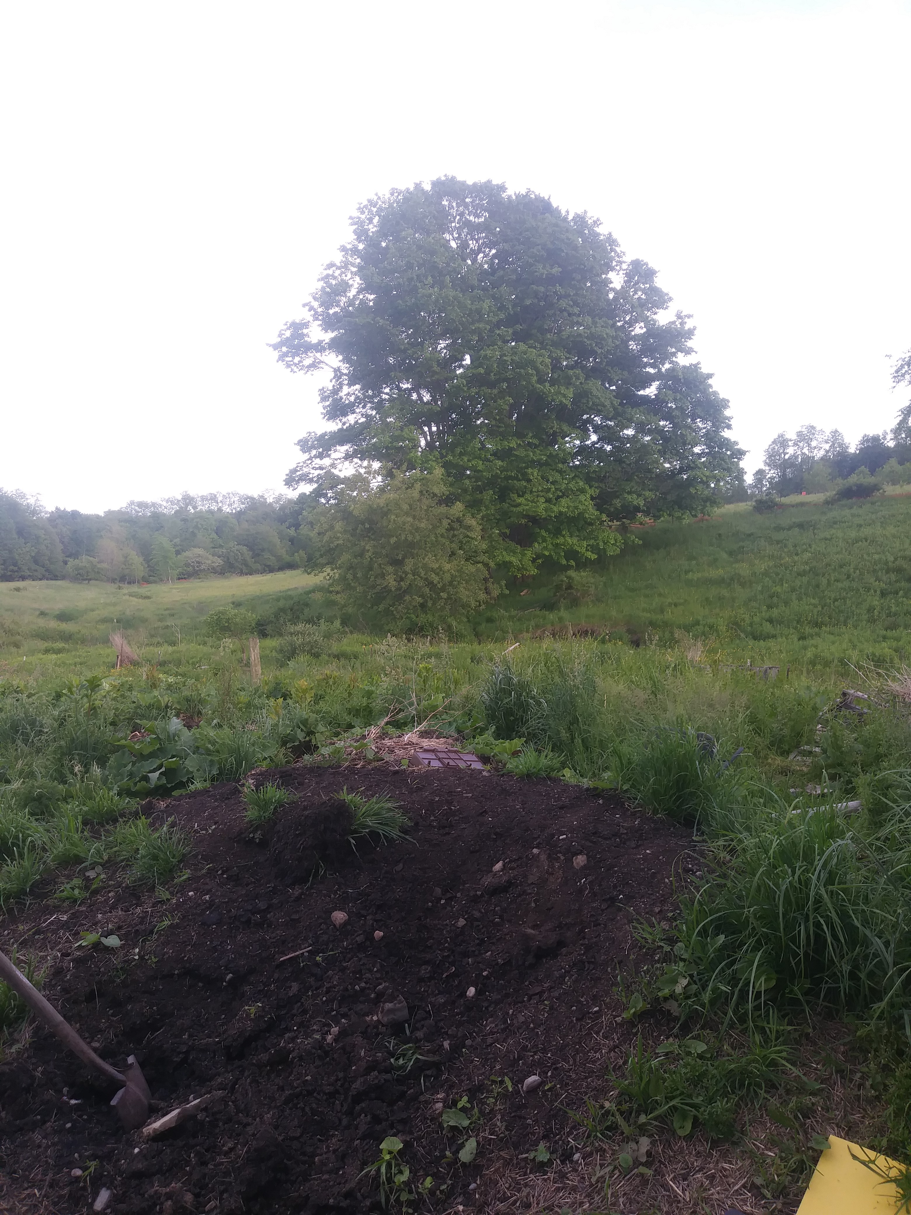 David S.’s Land