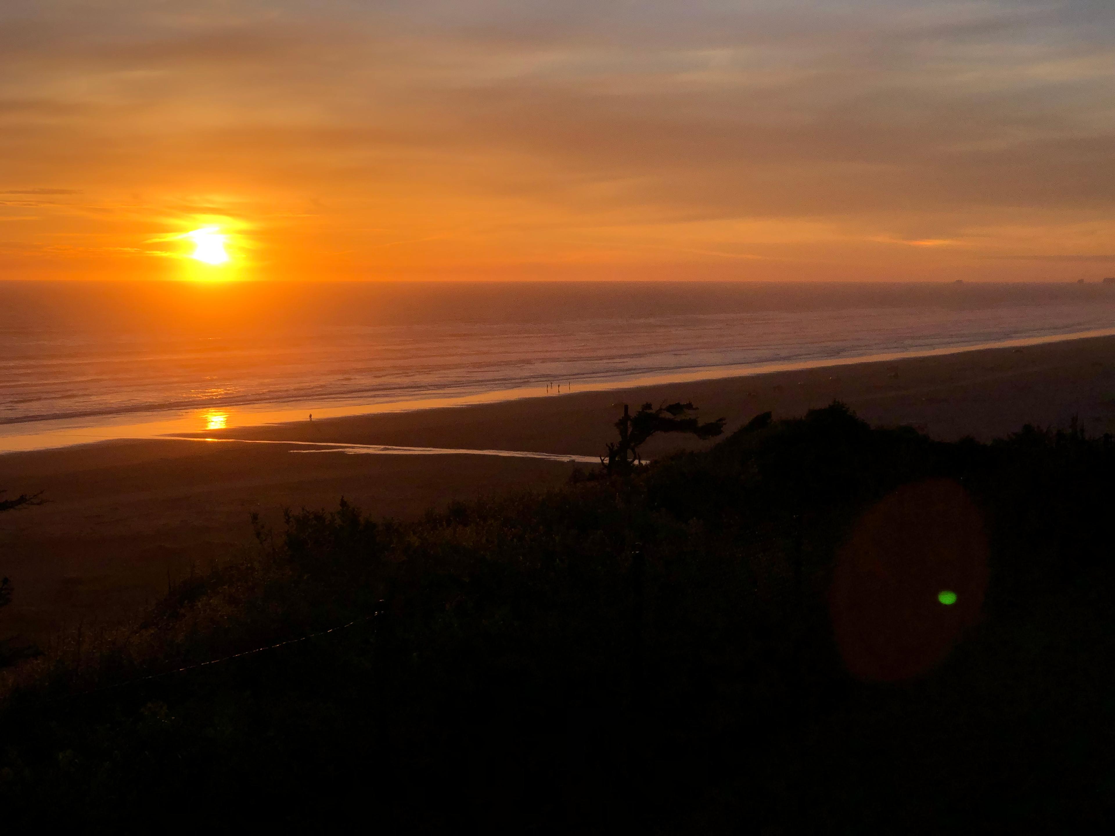 Pacific Beach Paradise
