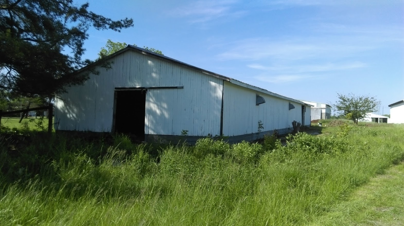 Vera T.’s Land