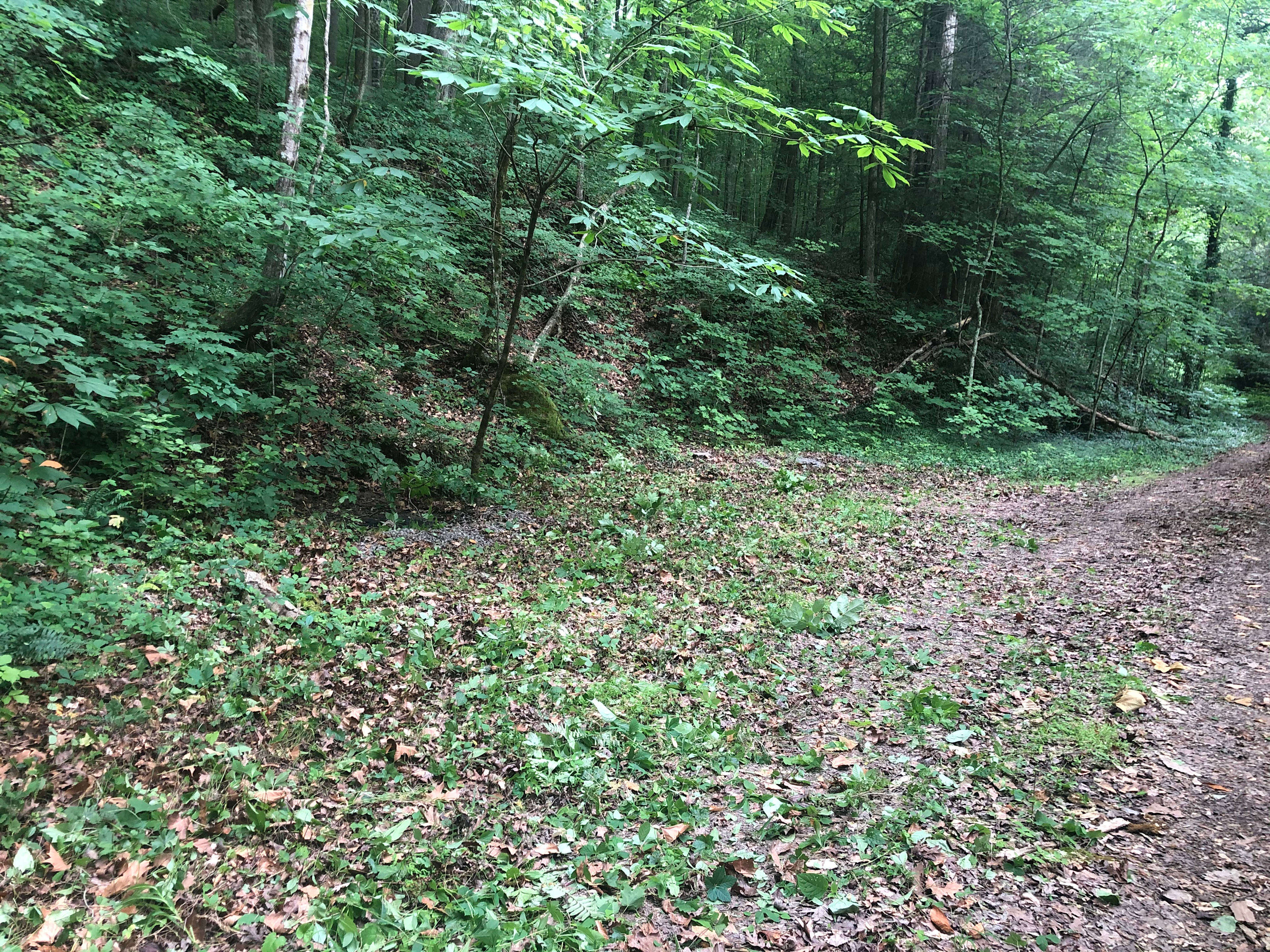 Camping at Redtail Farm