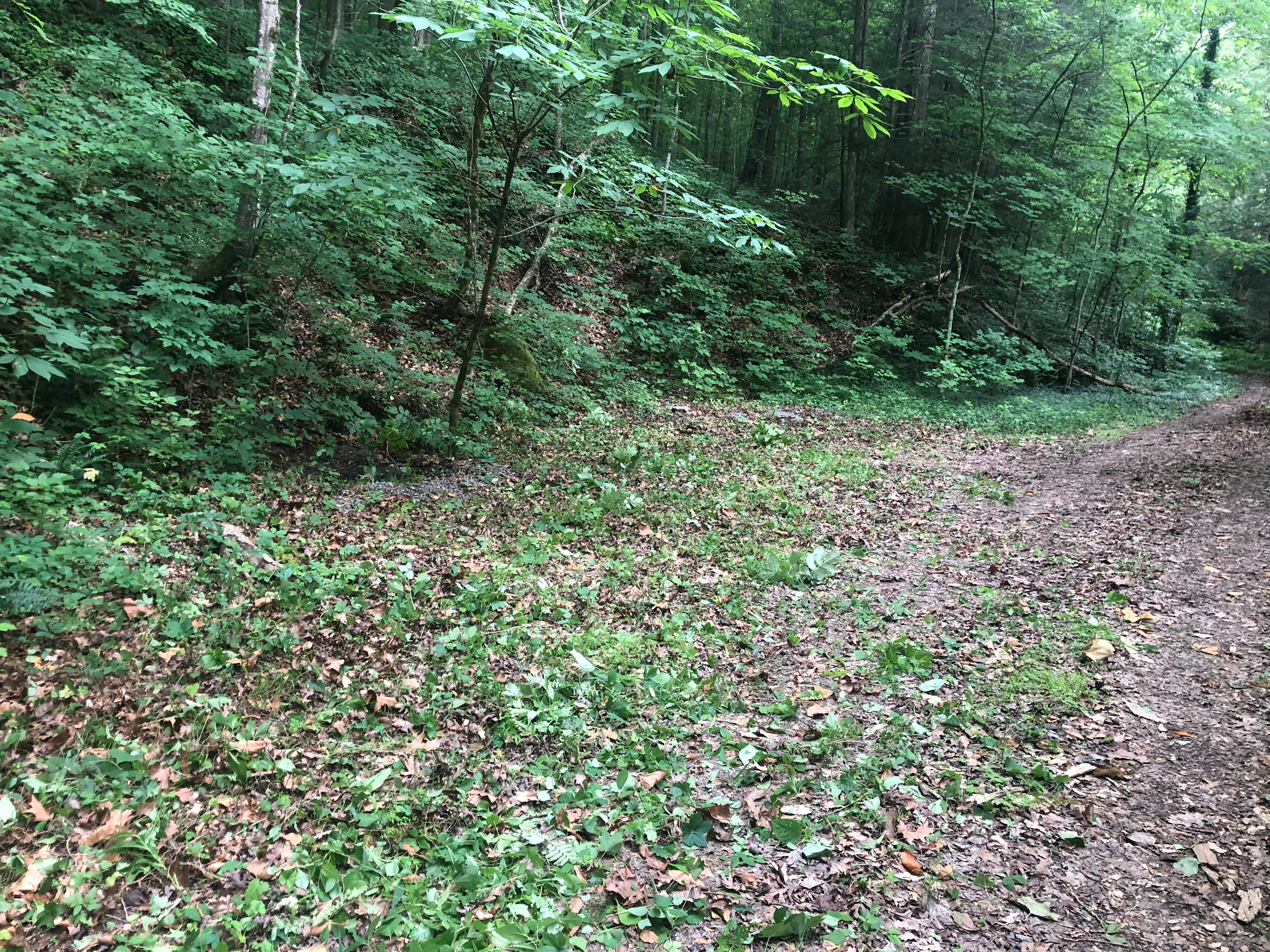 Camping at Redtail Farm