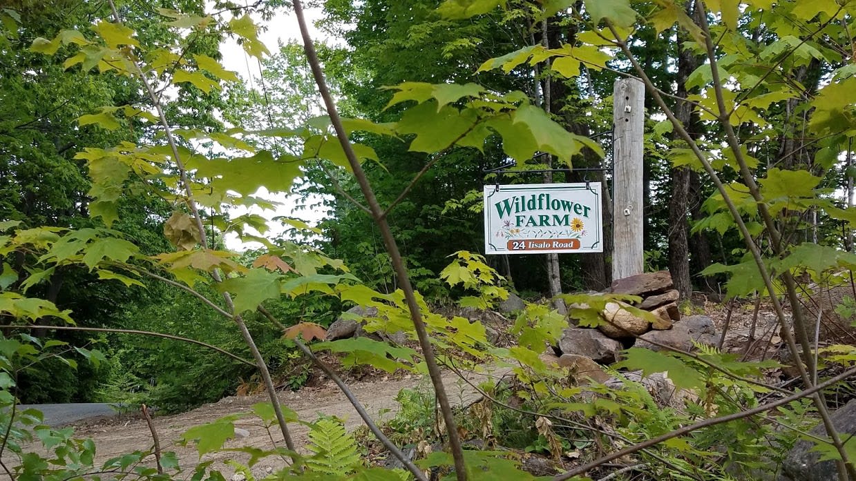 Wildflower Farm
