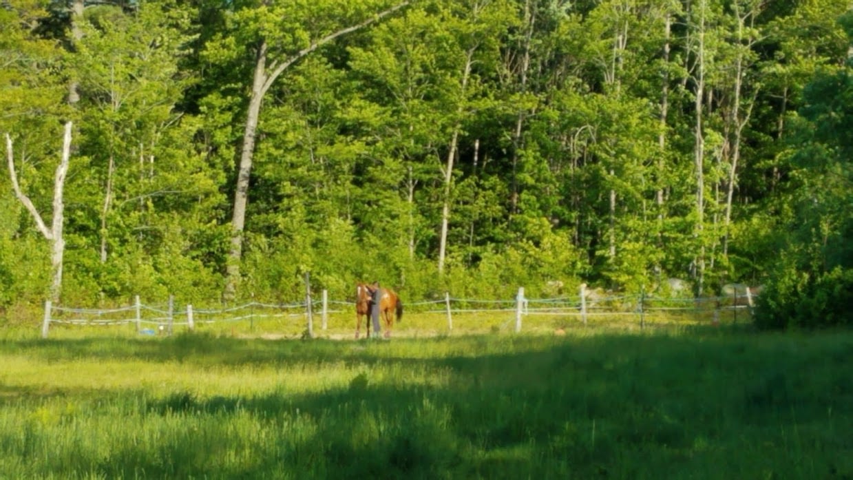 Wildflower Farm
