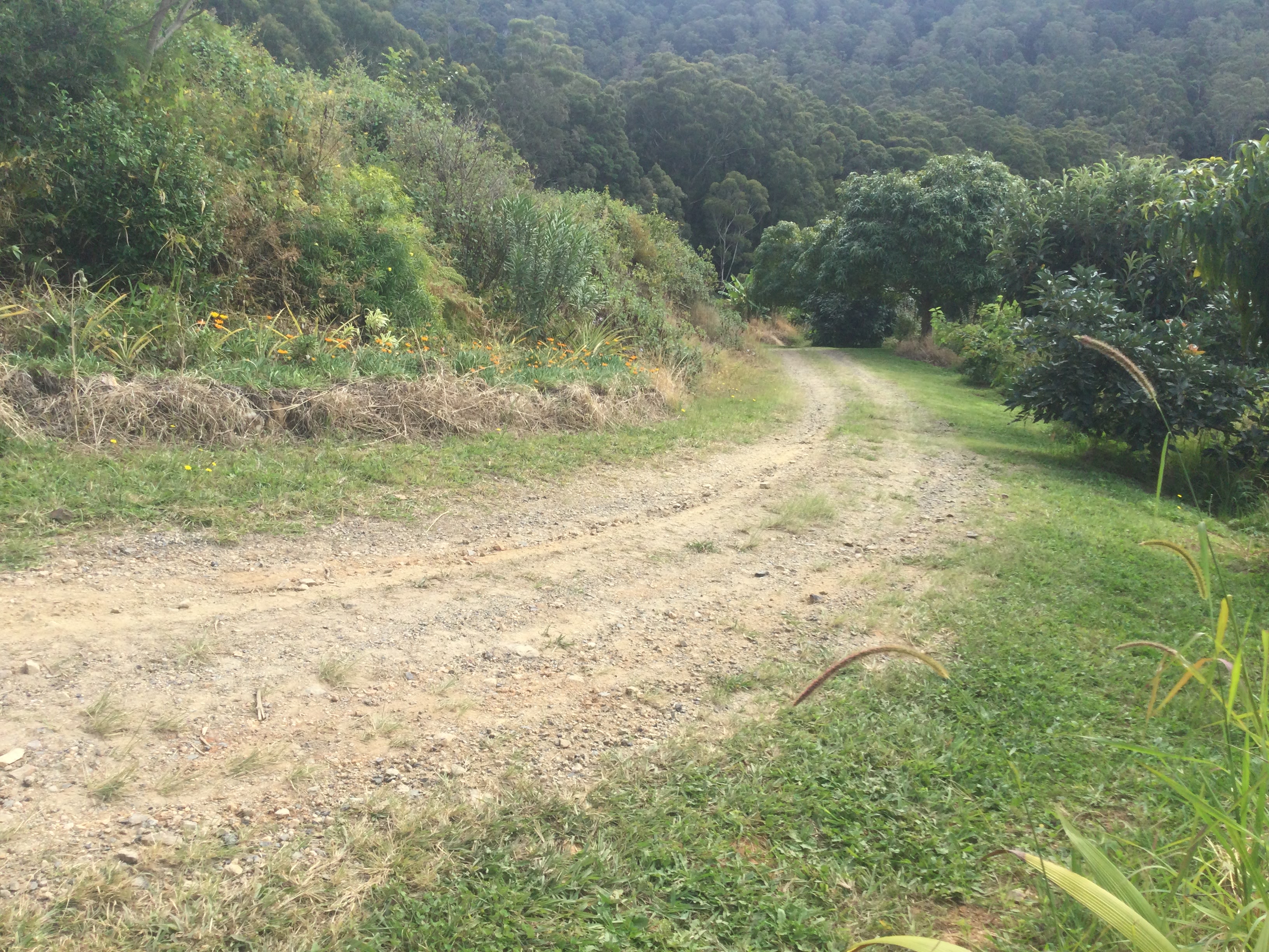 State Forest, Ocean Views