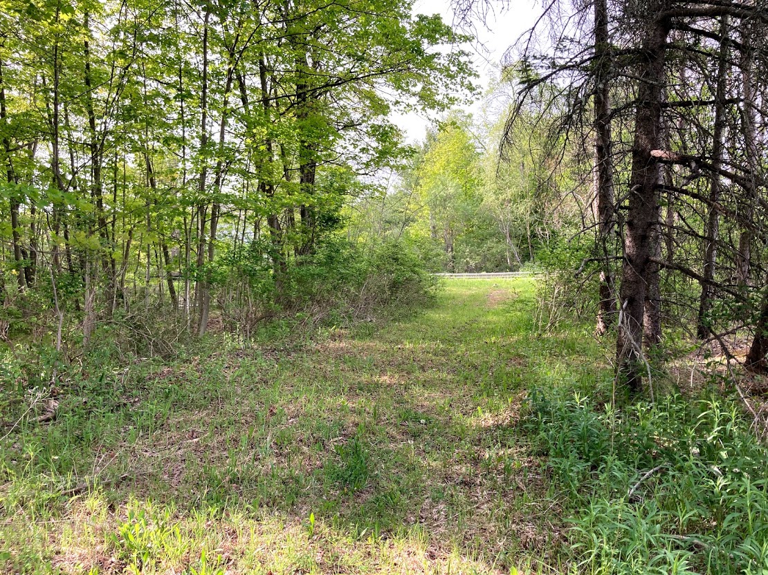 View of the "driveway" heading out from the campsite area. 