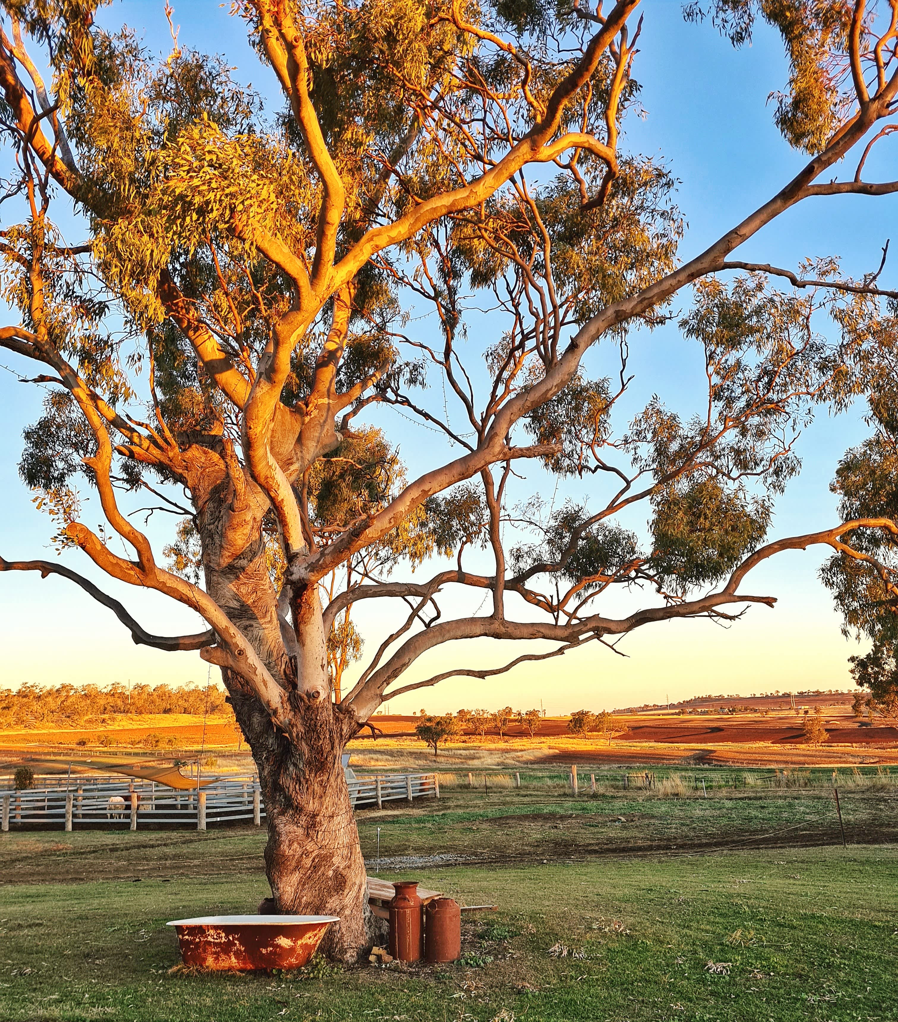 Mountview Farmstay