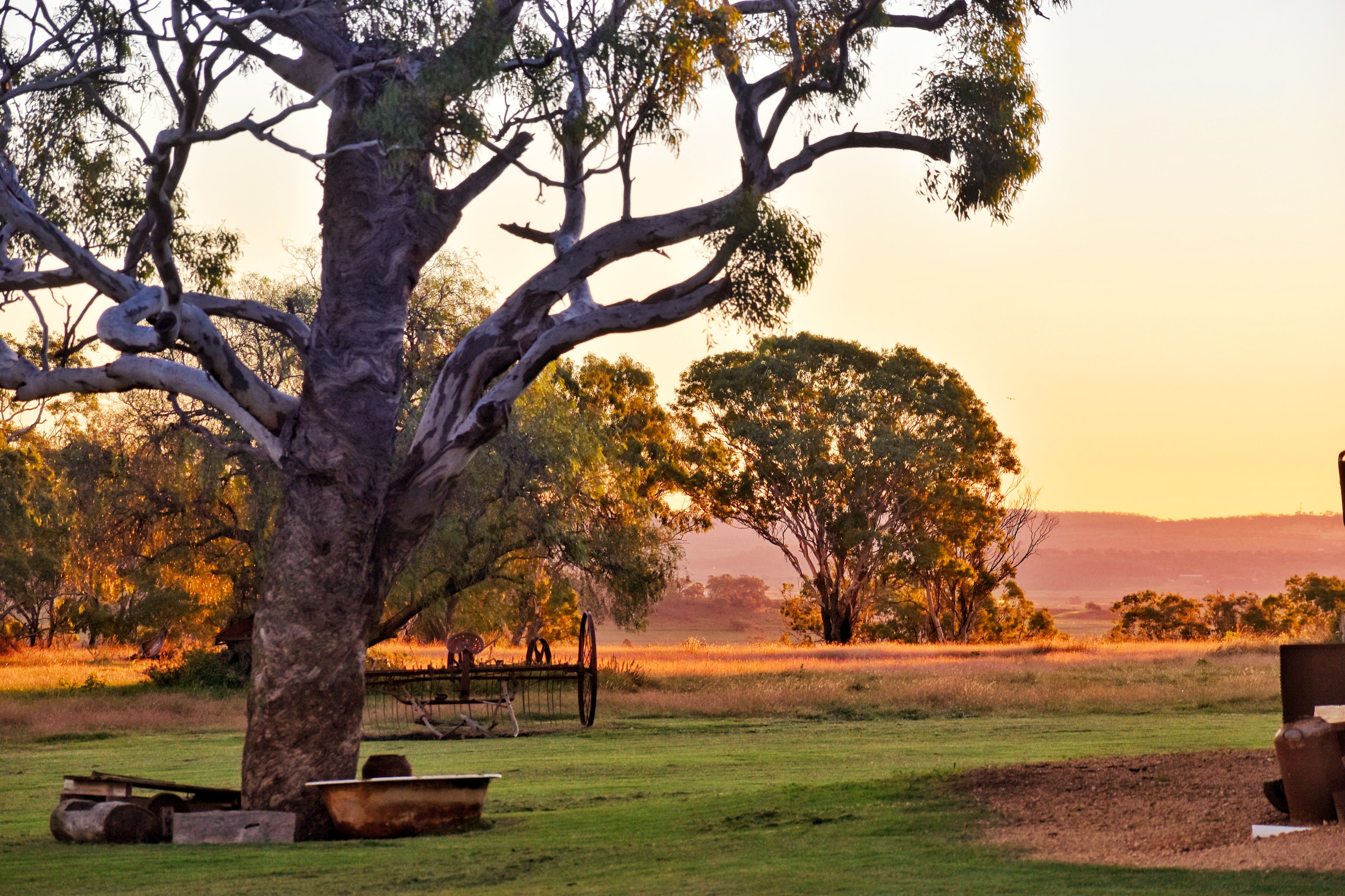This is the field you can camp in and watch the sunsets over the valley.