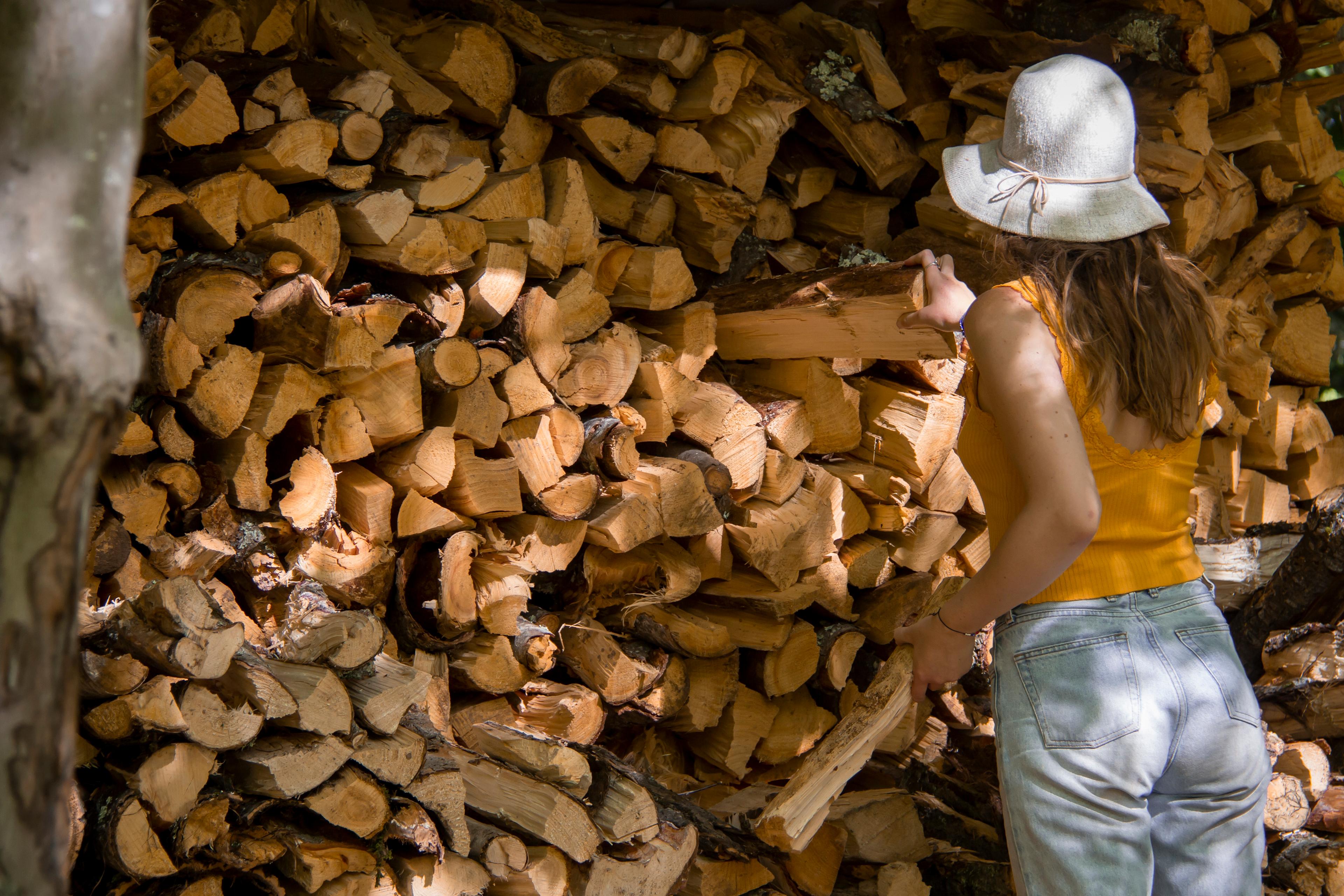 Free firewood provided to use at the many fire-pits around the campground.
