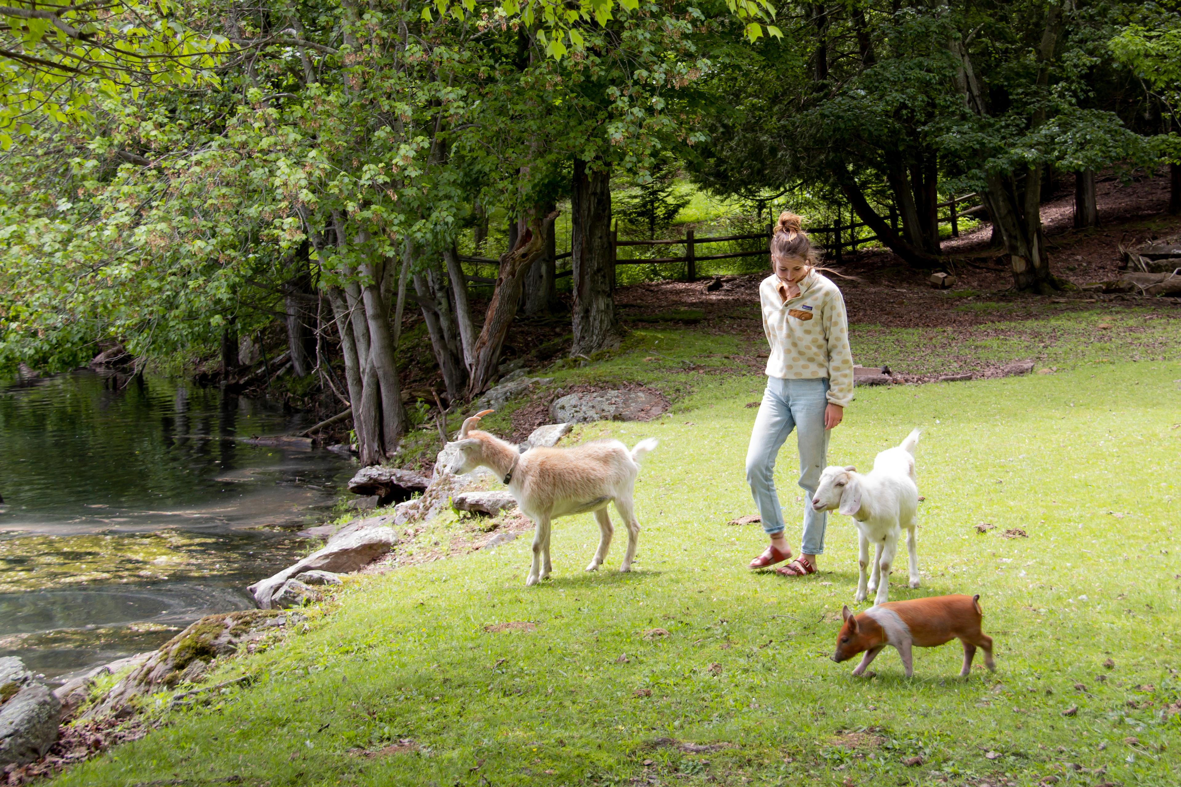 Nice walk with the animals to the lake!