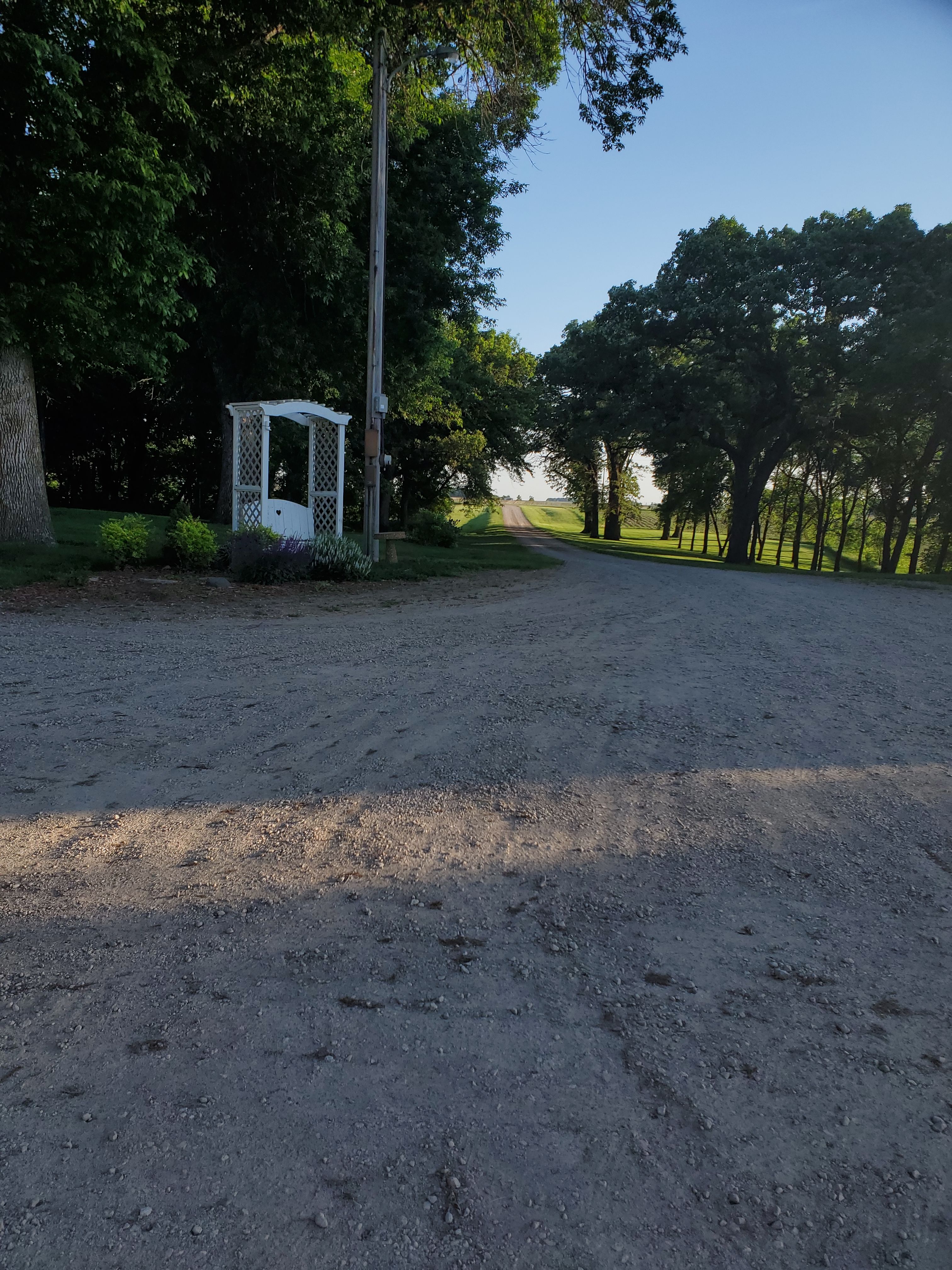 View down driveway.