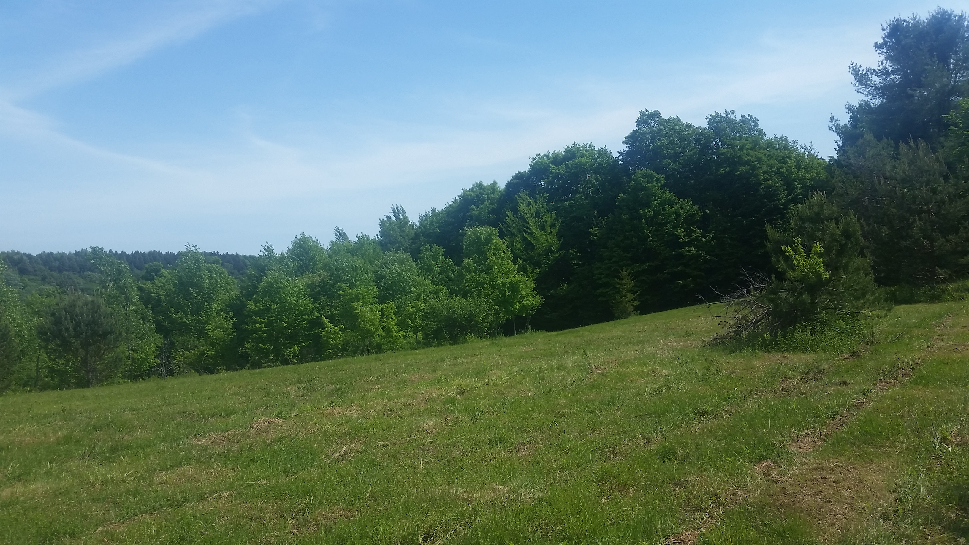 Primative Camp at  Dark Sky Retreat
