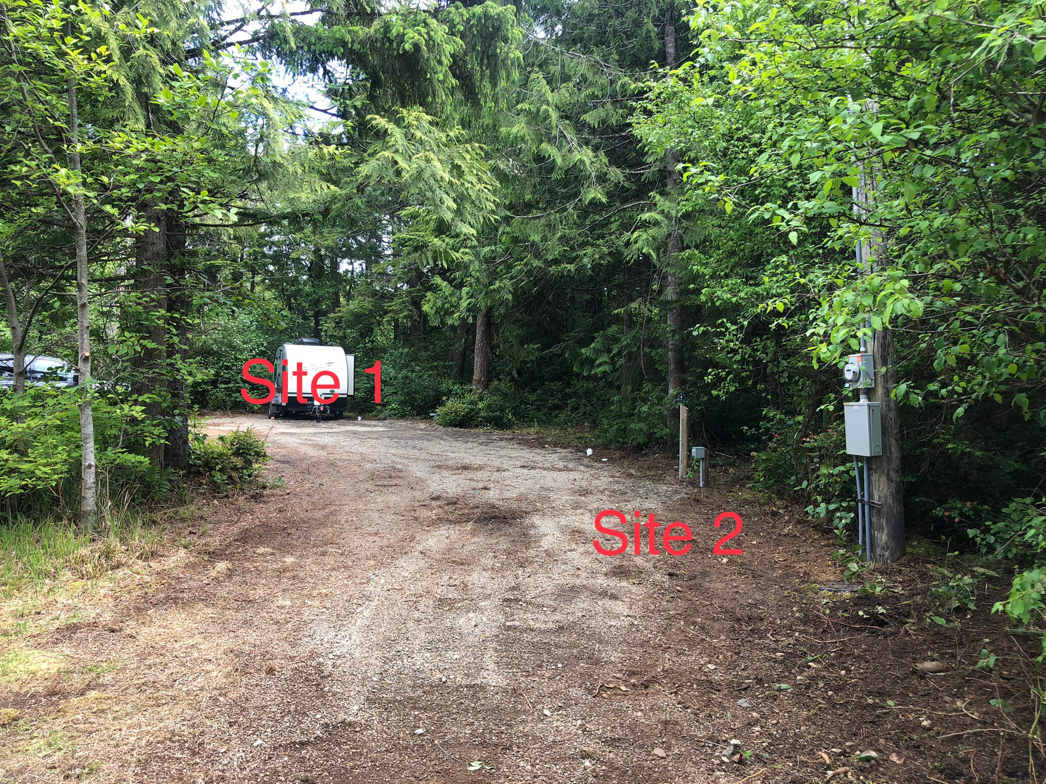 Pacific Beach Paradise