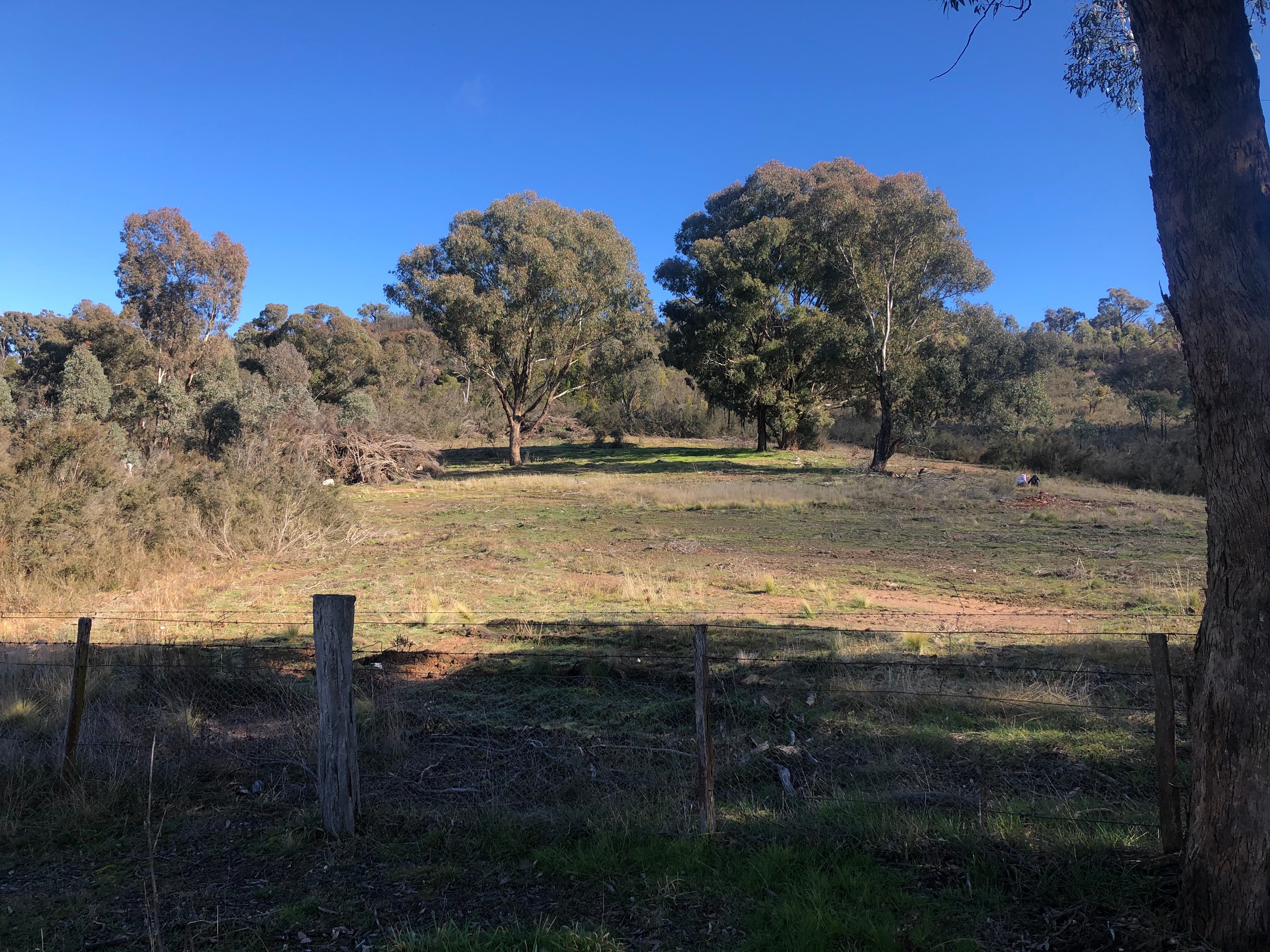 Peelwood Park Kangaloolah cabin