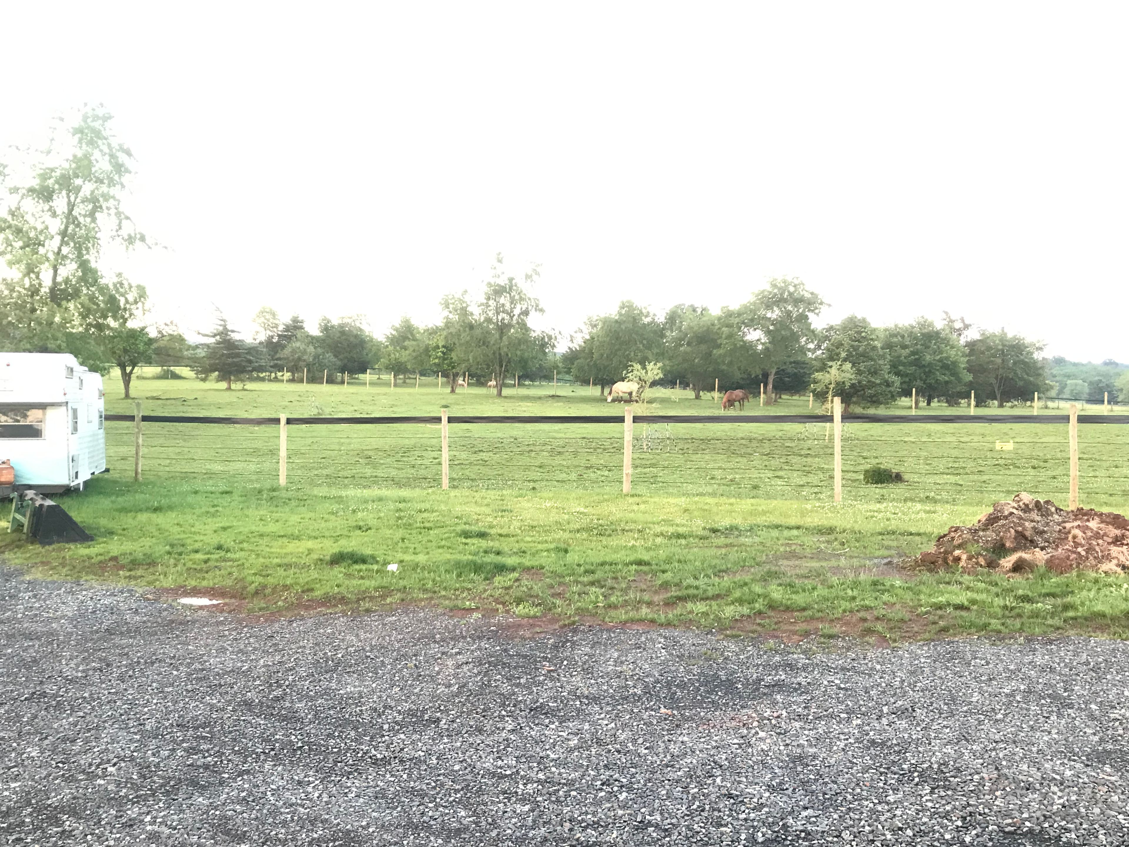 Farm side campsite on 11 acre farm