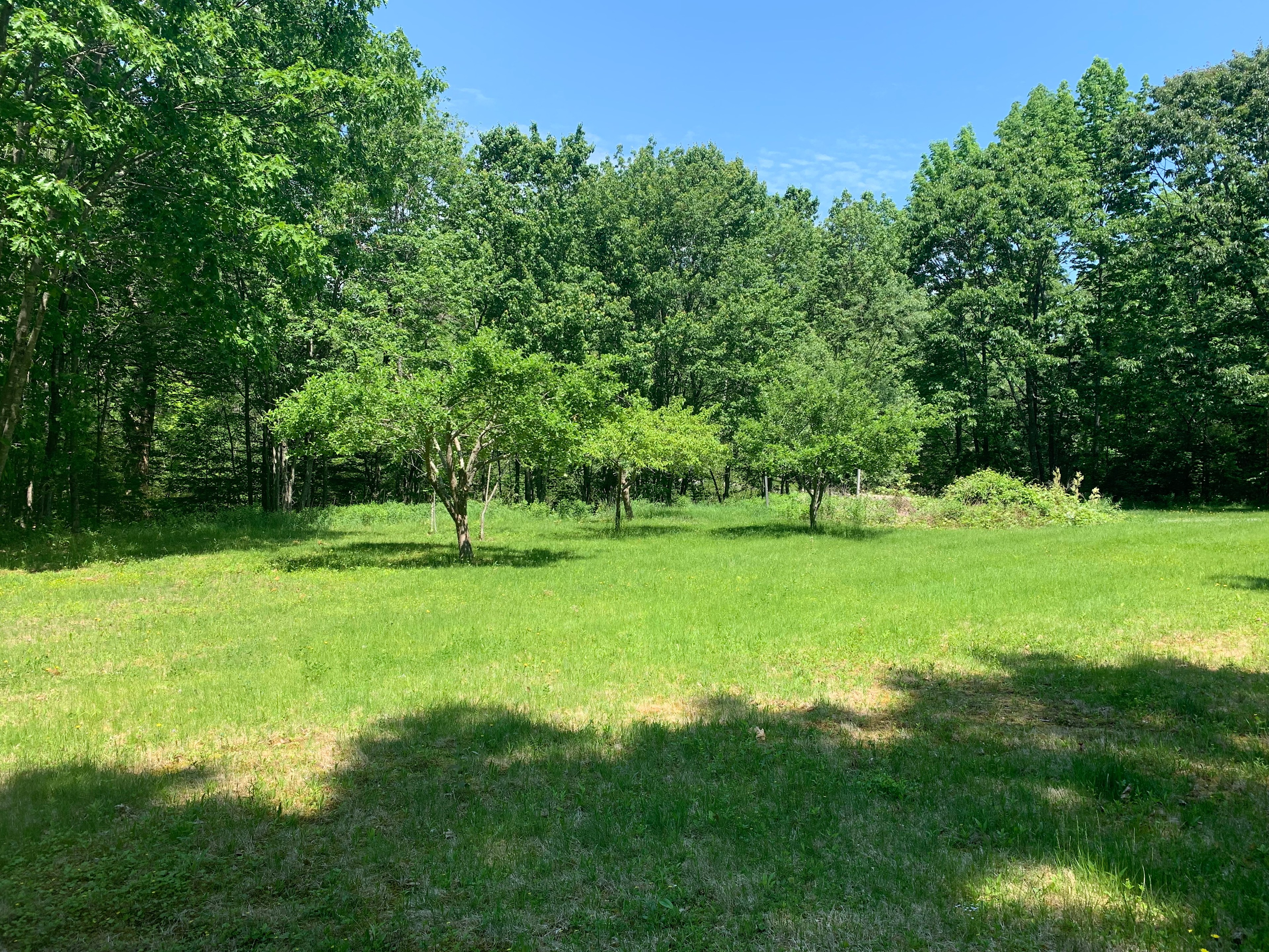 The Harraseeket Campsite