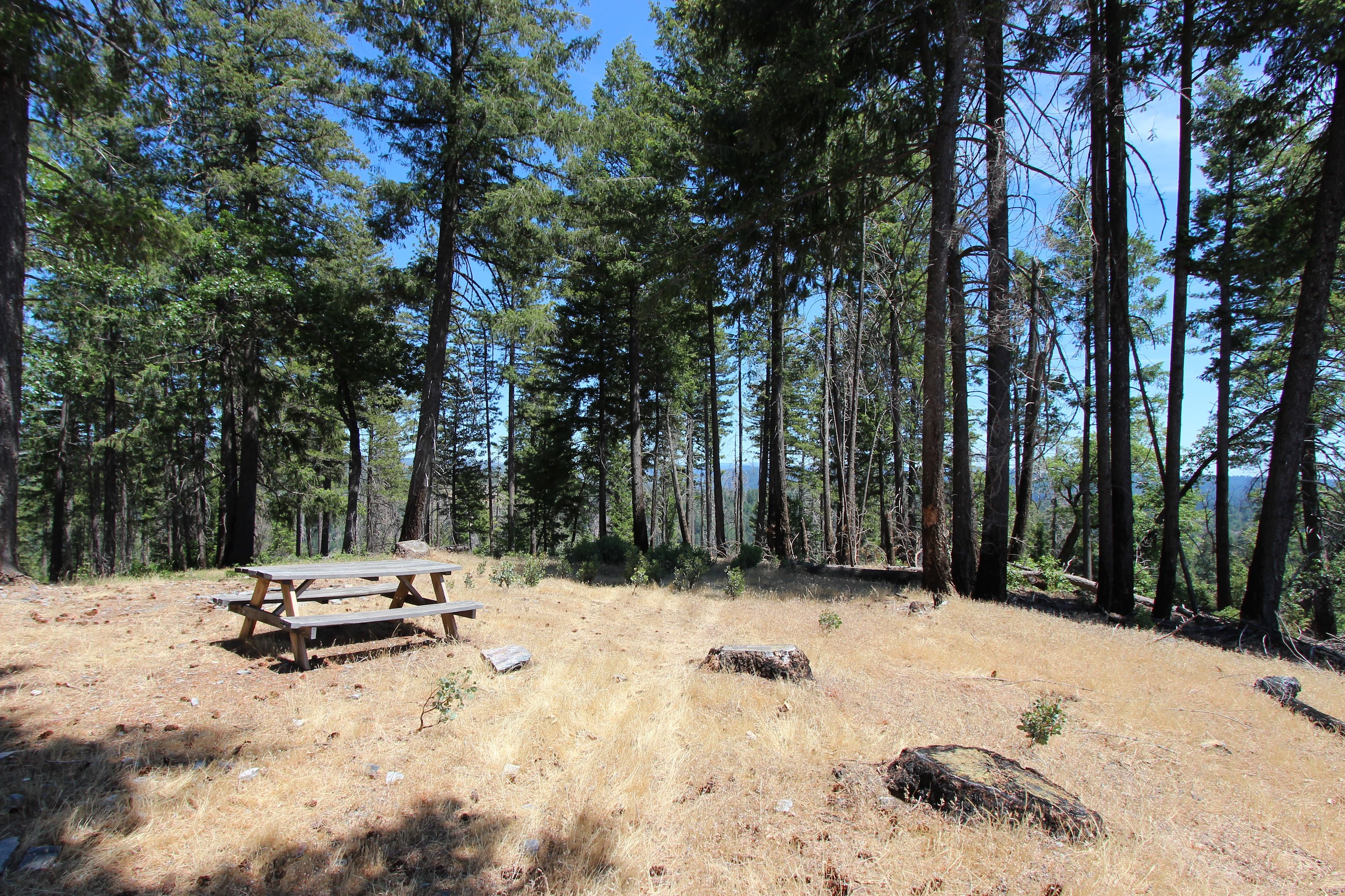 160 Acres amidst National Forest