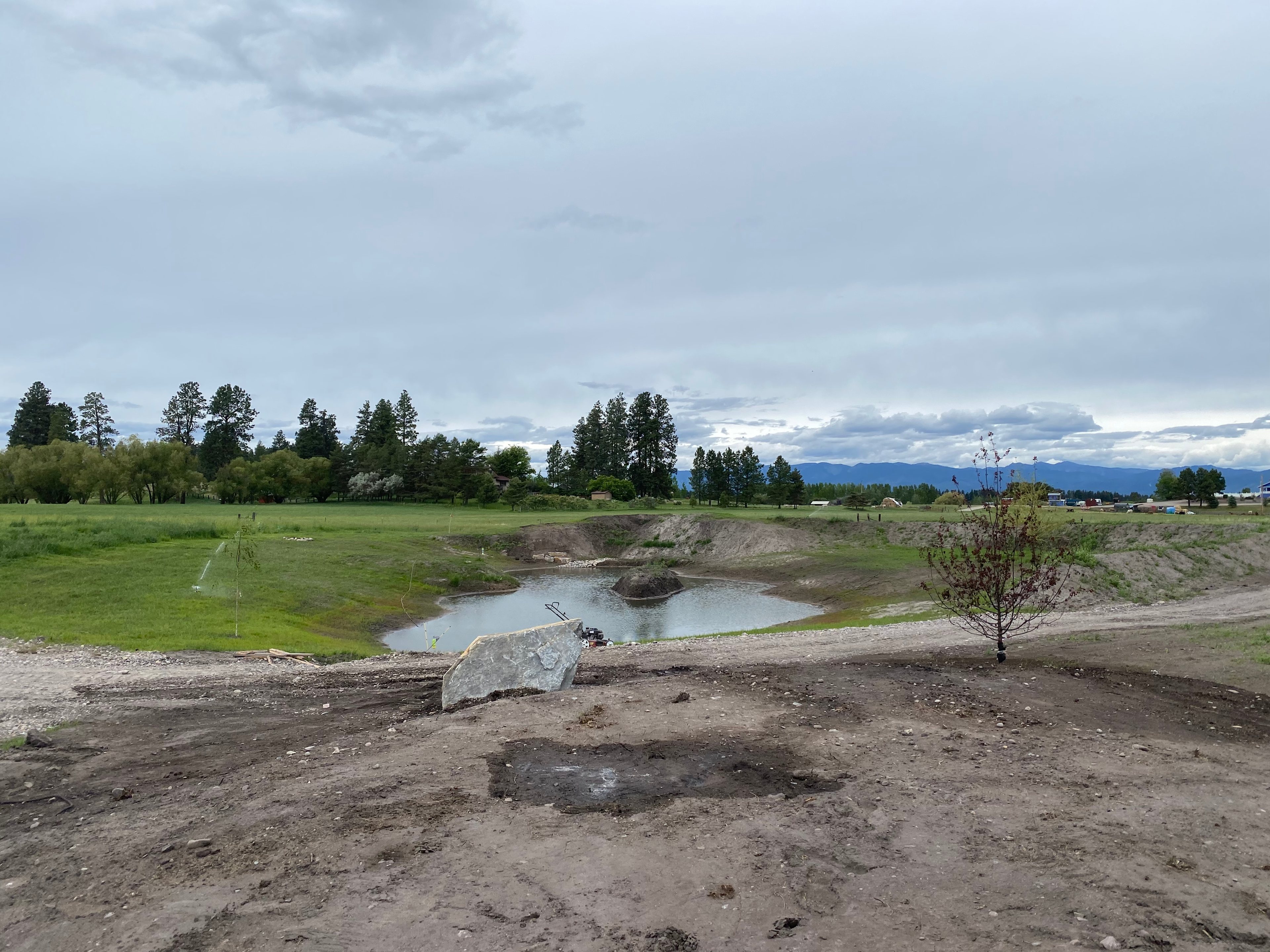 Field with Mountain View’s