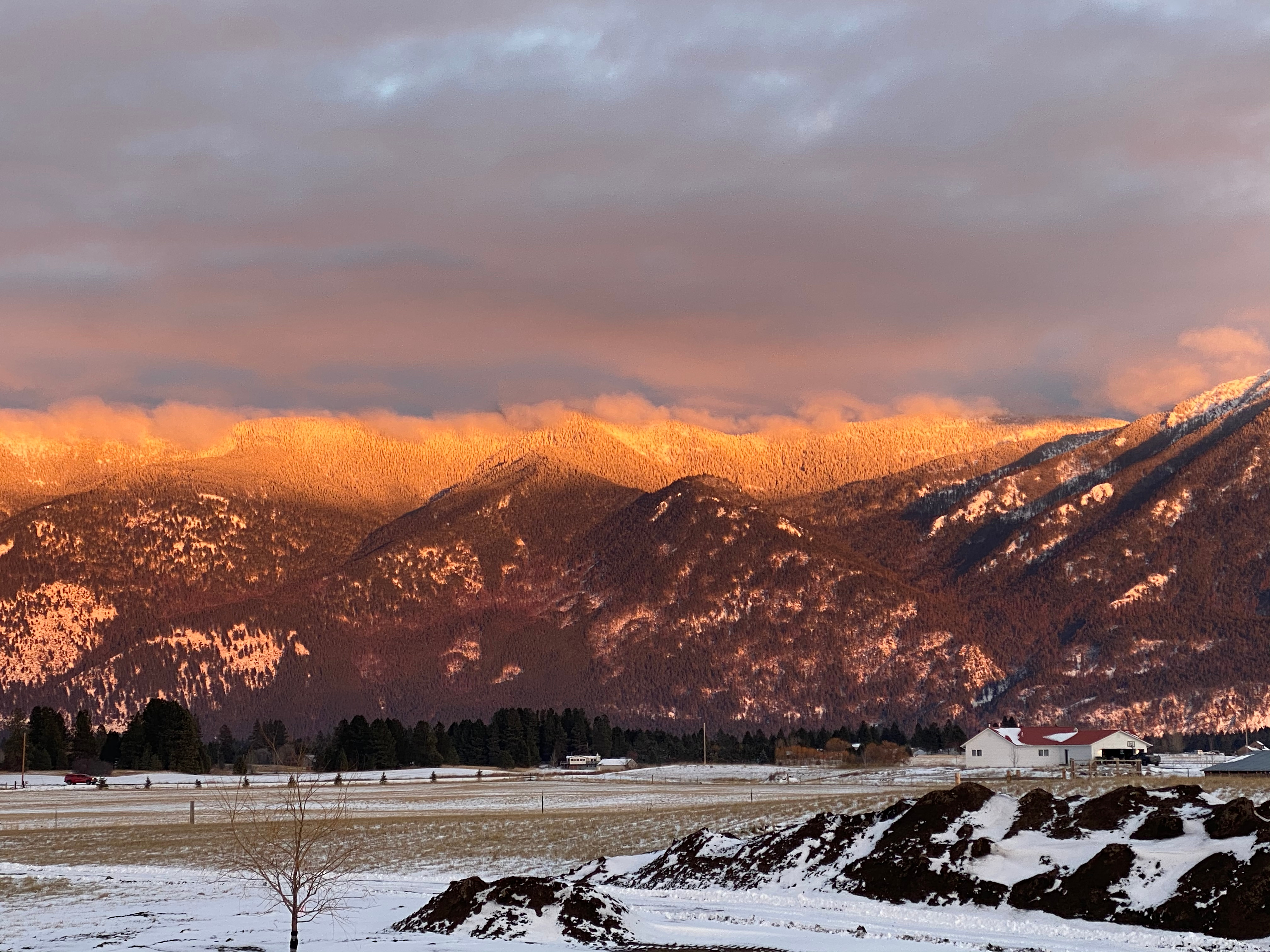 Field with Mountain View’s