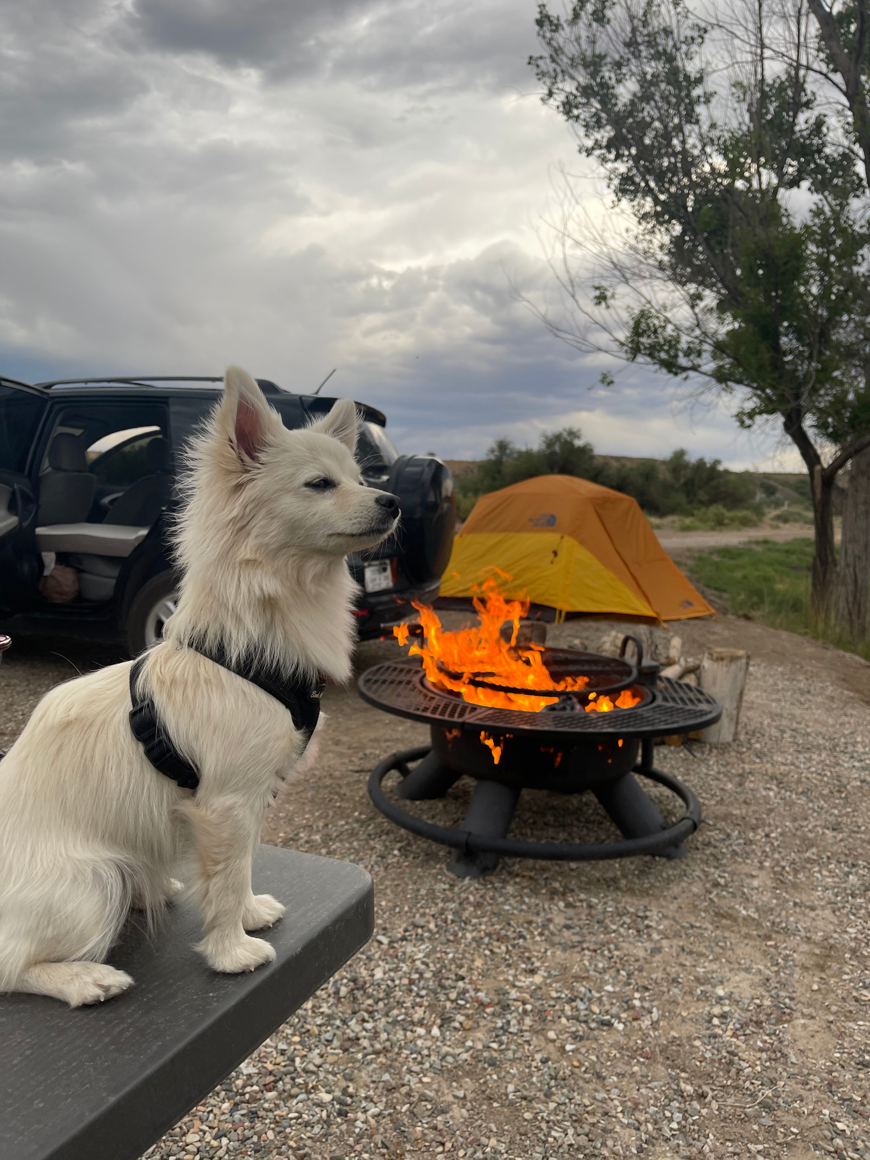 Lakeside Camping, Water Time :)