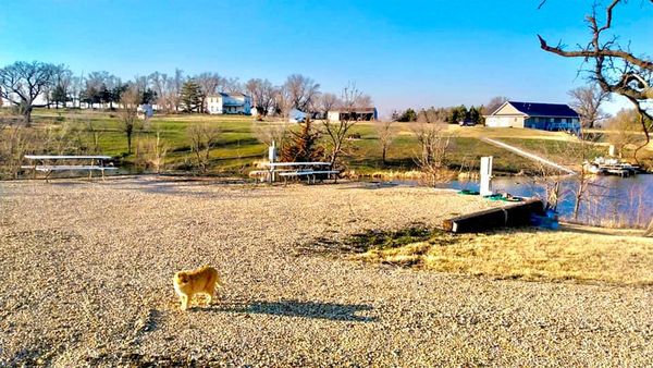 Mulberry Pond Shady RV Sites