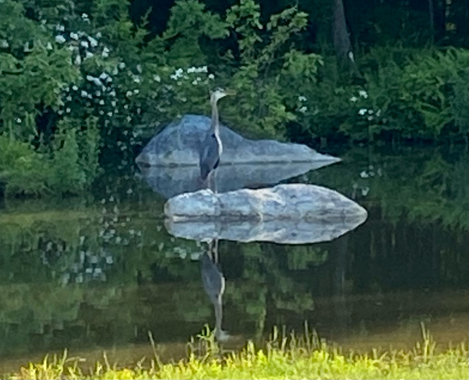 A "PLEASANT" Safe Haven